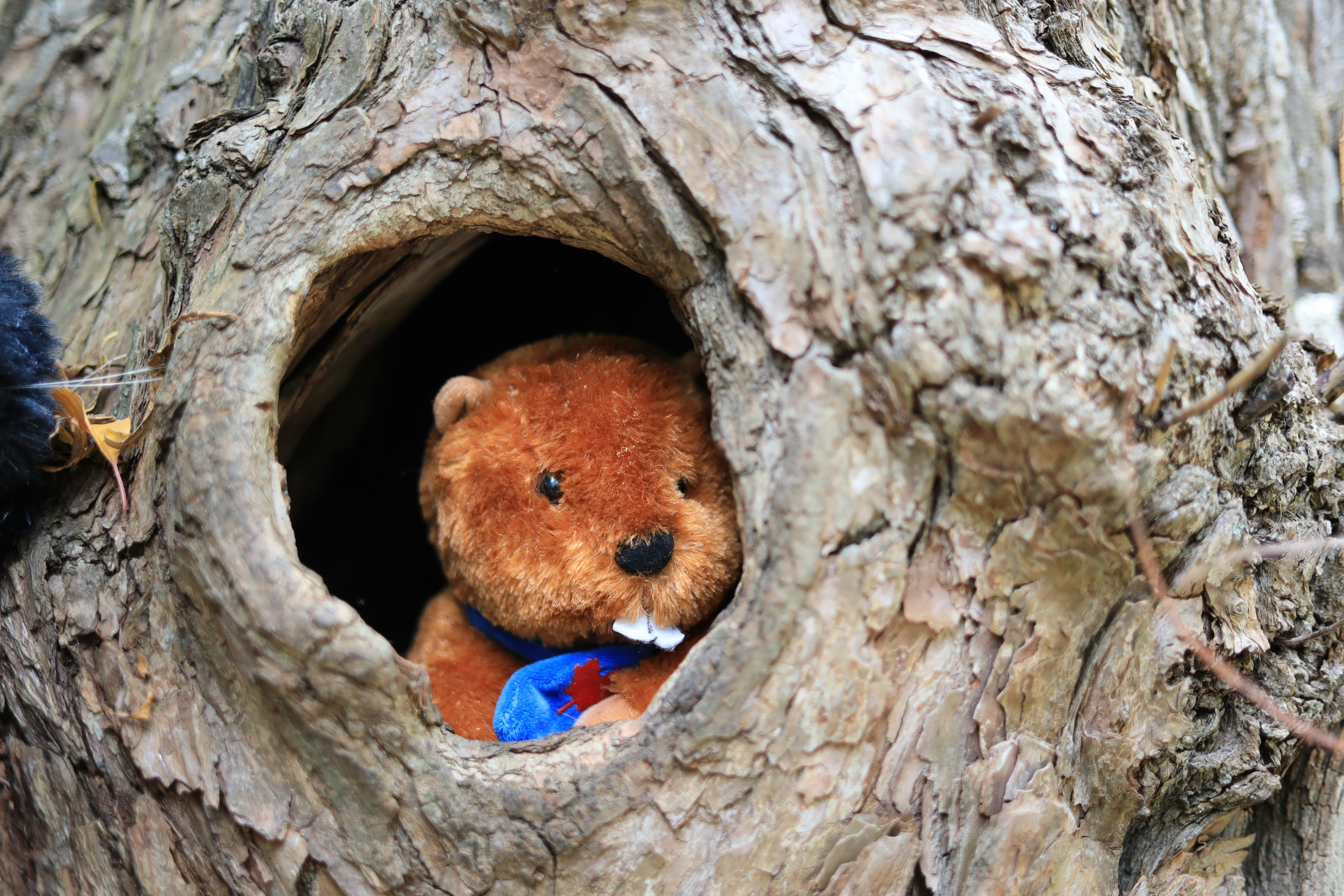 Photo by richardworks