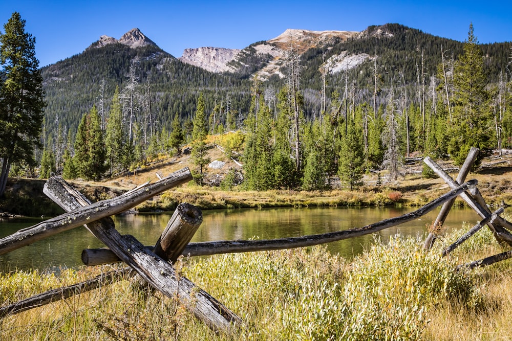 a lake surrounded by trees and mountains in the background