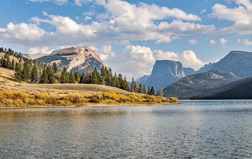 a body of water surrounded by mountains and trees