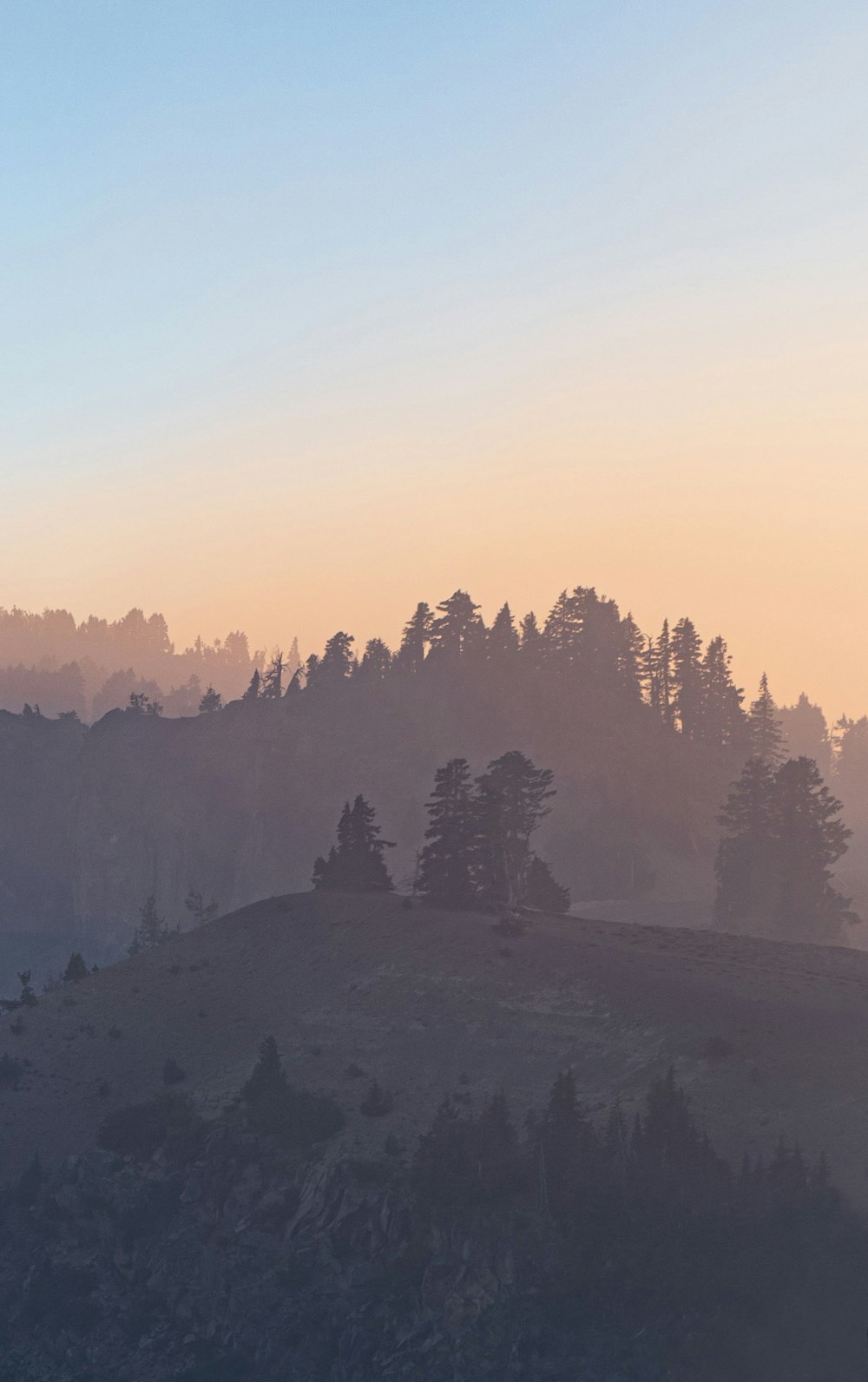 a hill with trees on top of it at sunset