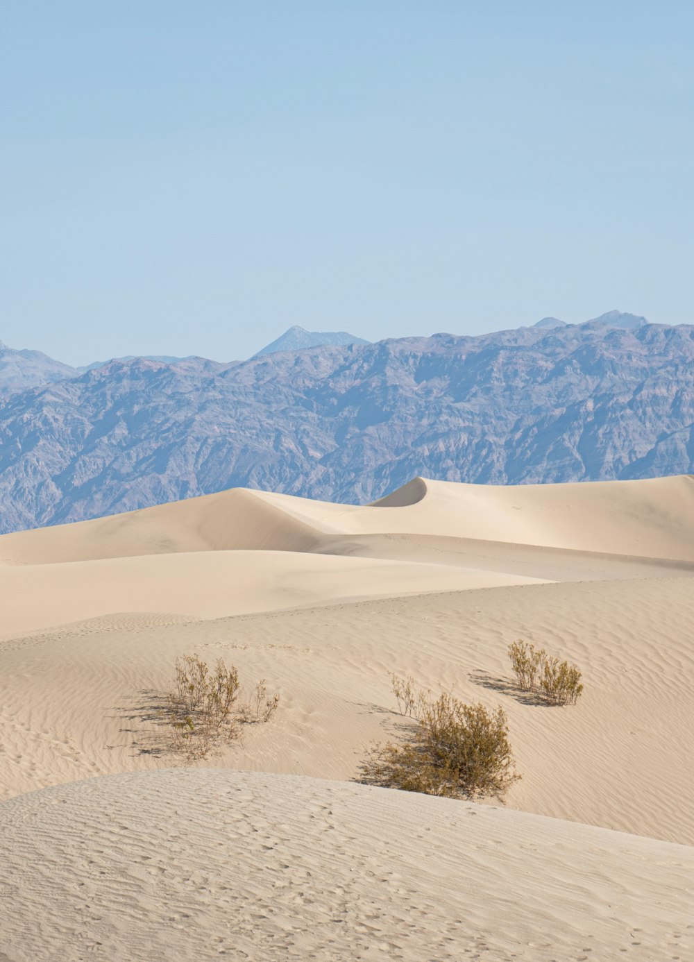 sand dunes with mountains in the background