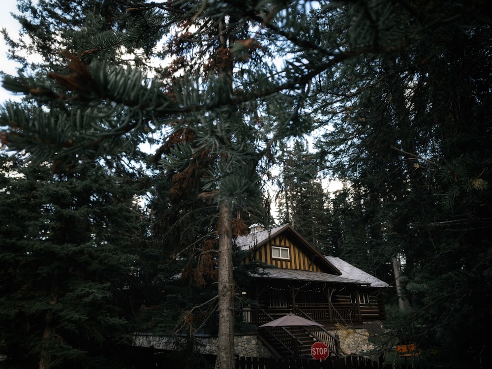 a house in the woods with snow on the roof