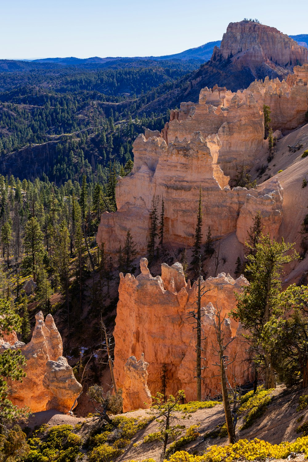 a scenic view of a mountain range in the distance