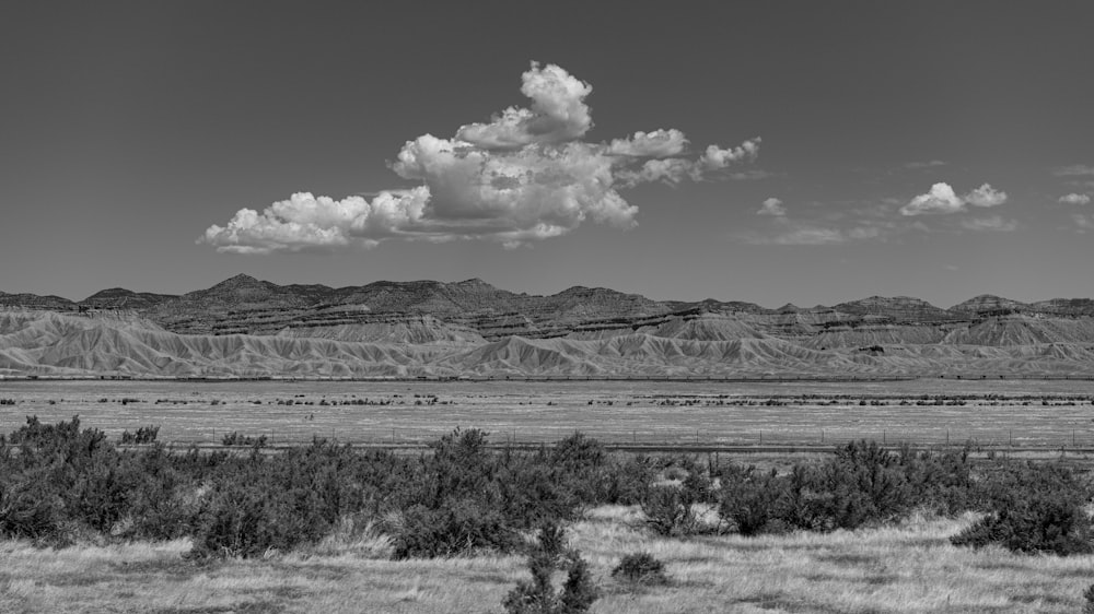 a black and white photo of a desert landscape