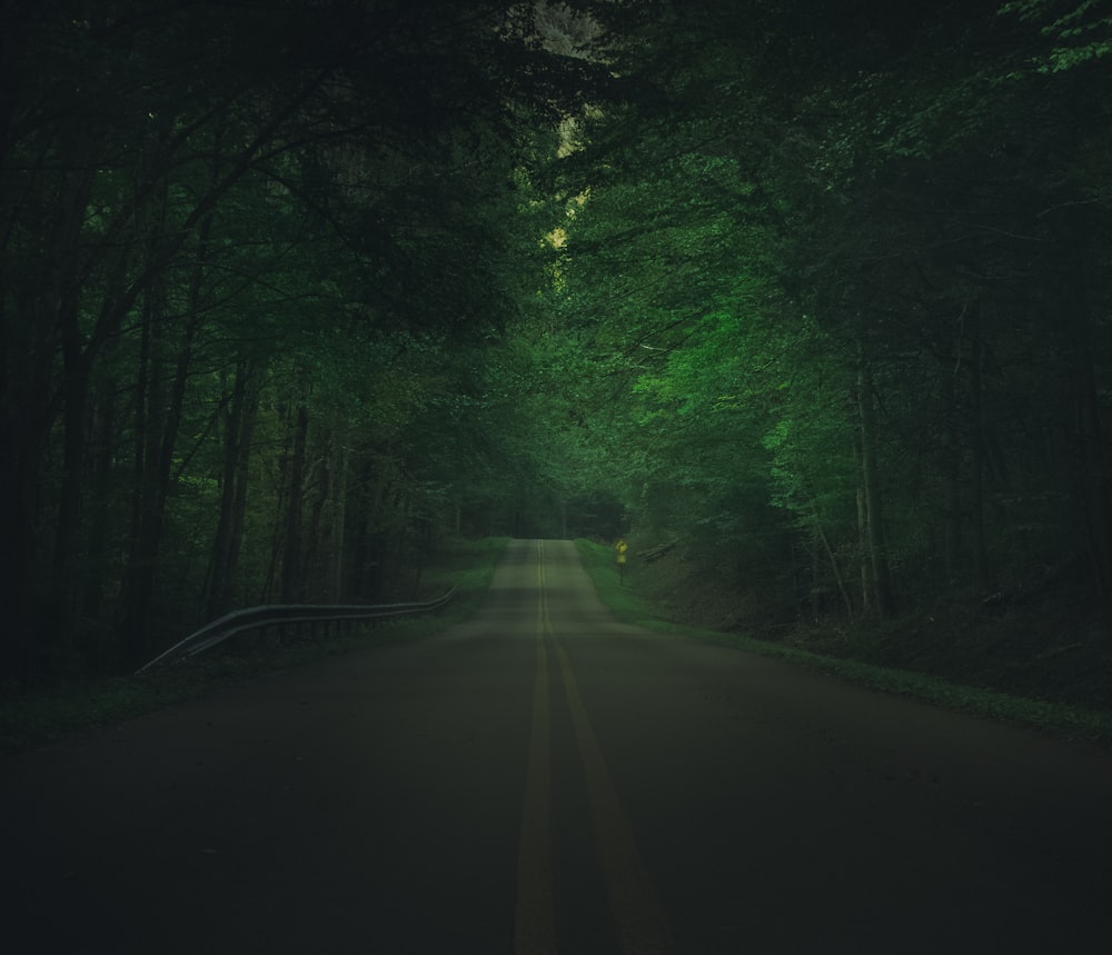 a dark road in the middle of a forest