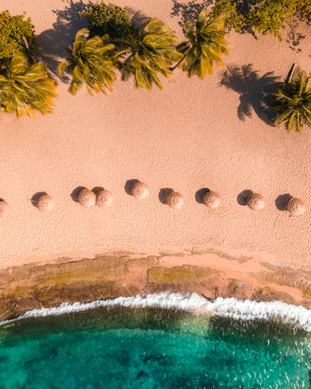 an aerial view of a sandy beach with palm trees