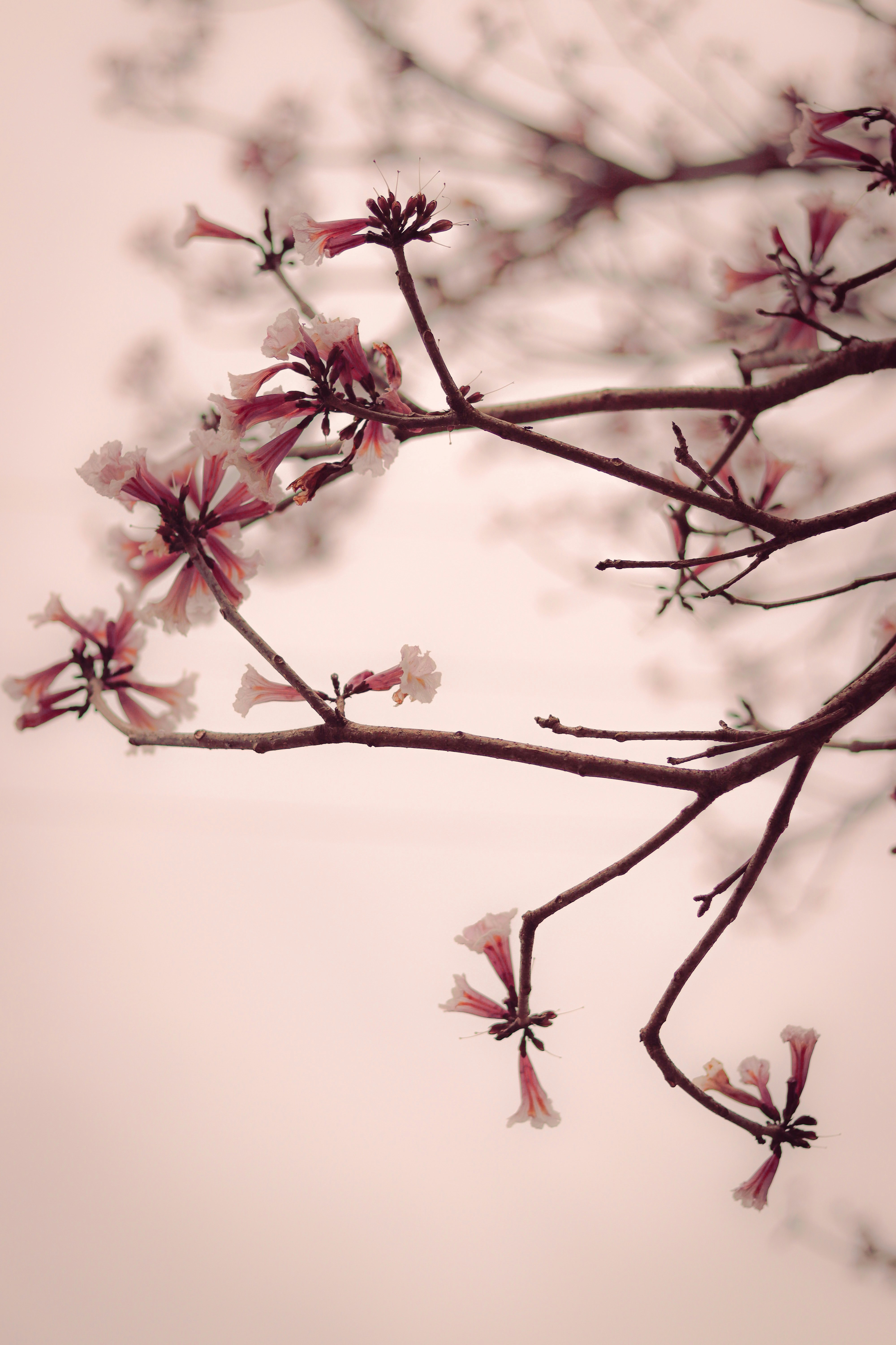 Photo by gabrielfotos