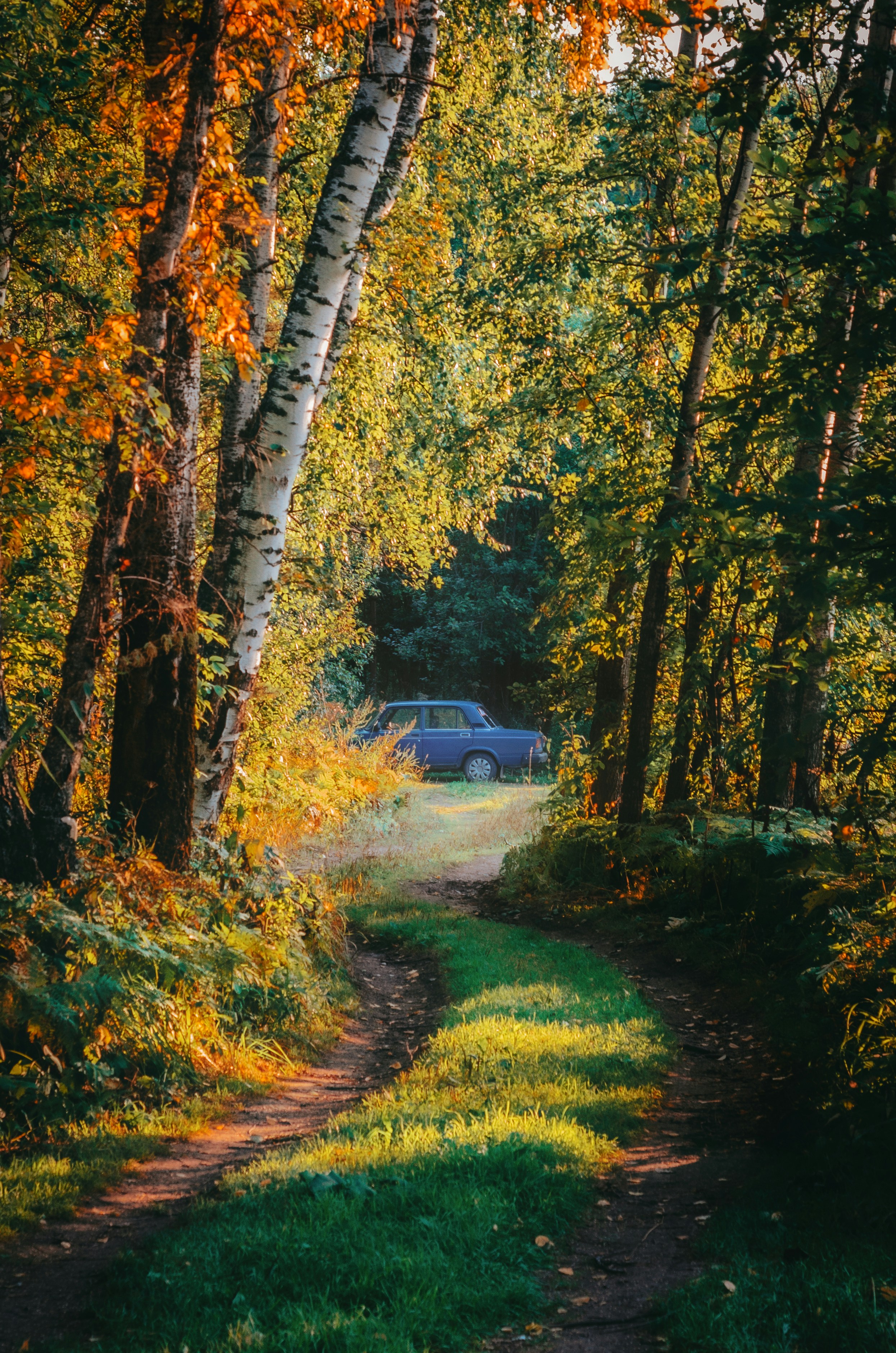 Photo by litvinov