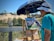 An artist wearing a blue shirt and white hat is painting a landscape on a wooden easel under a large blue umbrella. The scene includes sand dunes, green shrubs, and a clear blue sky. The painting captures the natural surroundings with vibrant colors and expressive brushstrokes.