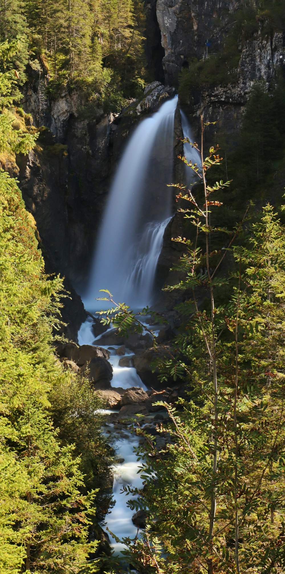 a waterfall in the middle of a forest