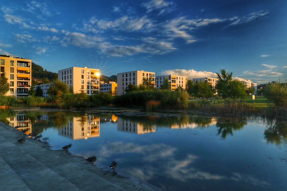 a body of water surrounded by tall buildings