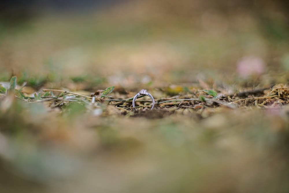 a wedding ring sitting on the ground in the grass