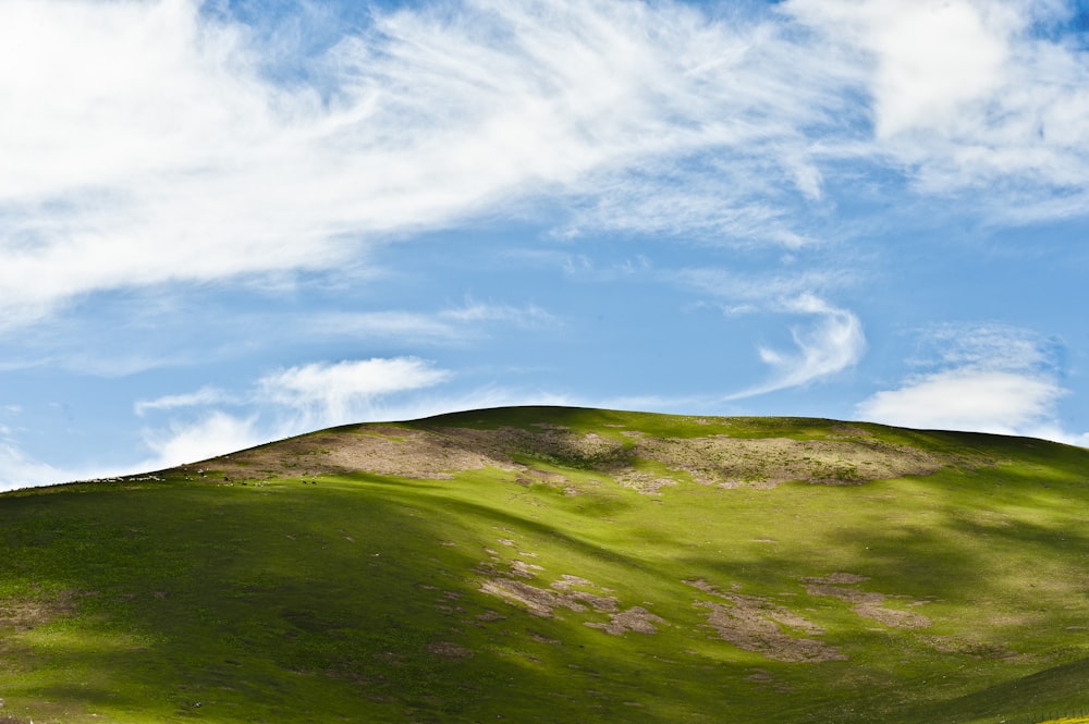 a green hill with a blue sky in the background