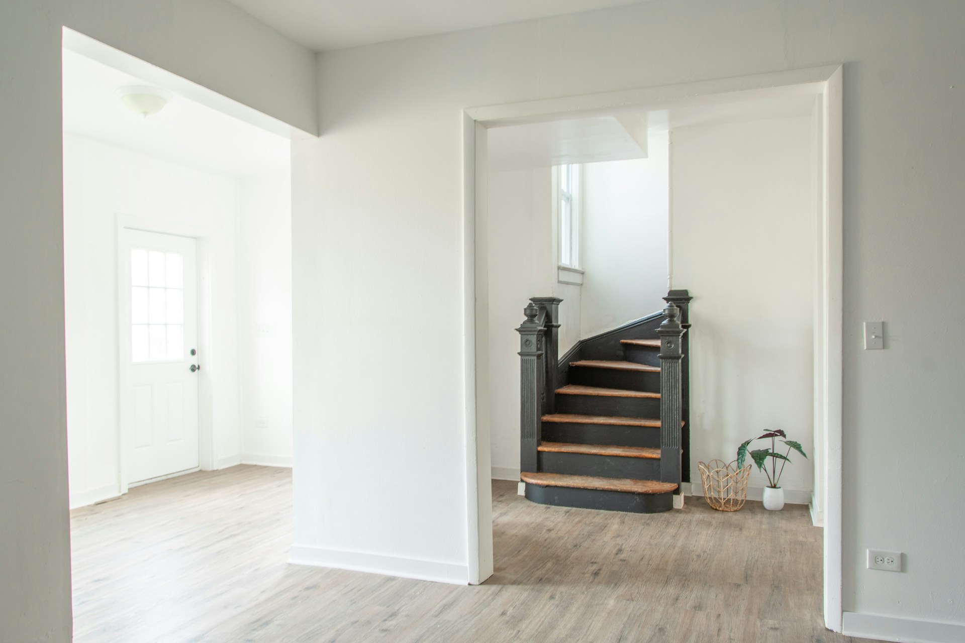 a white room with a staircase and a potted plant