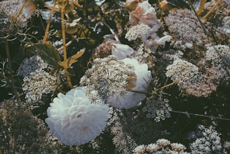 Deluxe floral composition with rich textures and subtle golden highlights, styled on white space