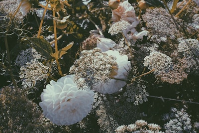 Deluxe floral composition with rich textures and subtle golden highlights, styled on white space