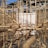 A complex structure of bamboo scaffolding set against a partially constructed concrete building. The sunlight casts intricate shadows on the bamboo, highlighting the geometric patterns created by the intersecting poles. In the background, multiple floors of the unfinished building with large windows are visible.