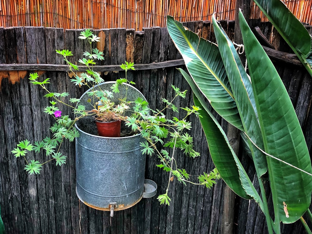 a potted plant sitting on top of a metal container