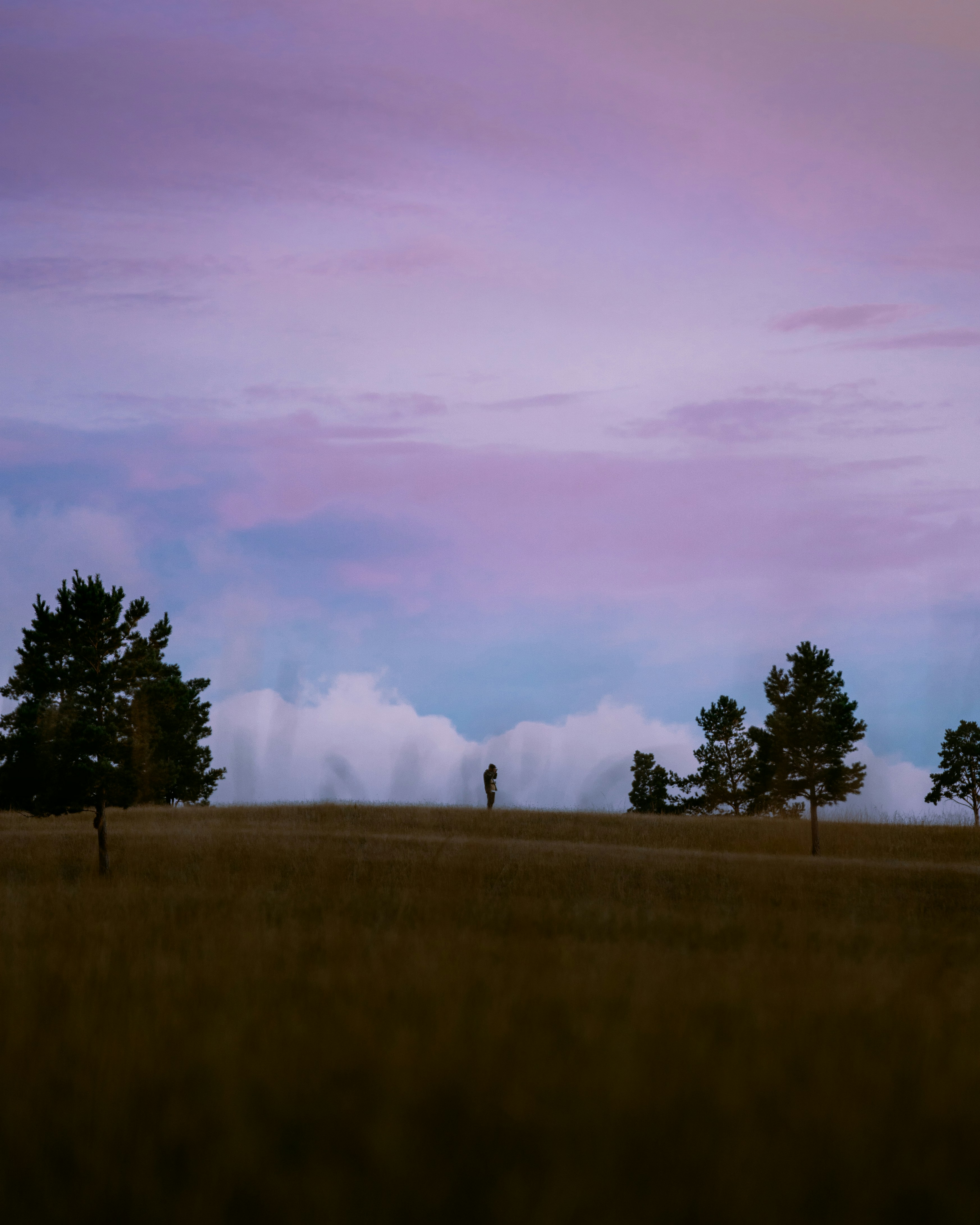 a grassy field with trees and clouds in the background