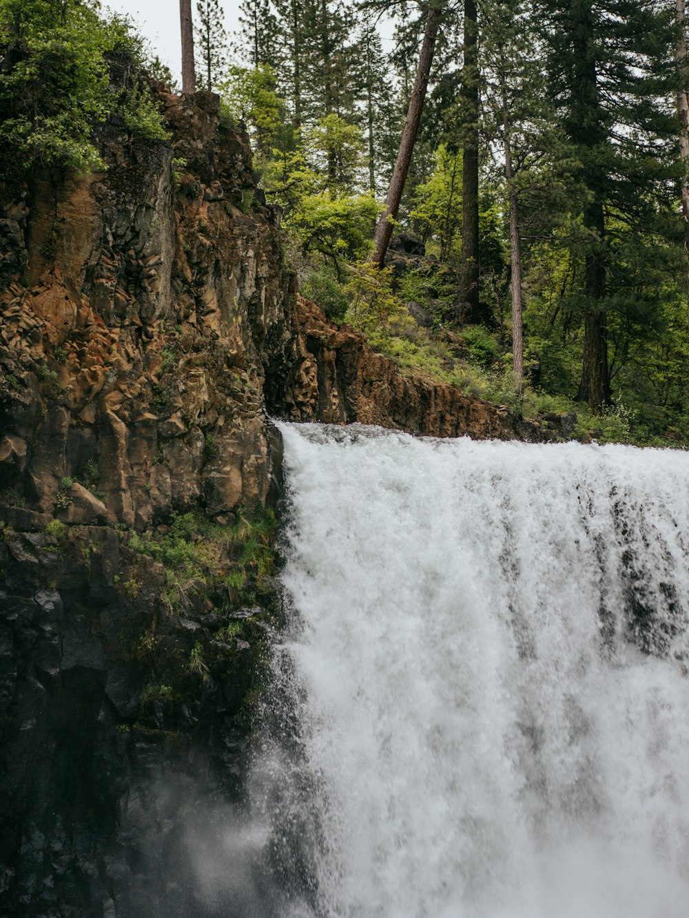 a waterfall in the middle of a forest