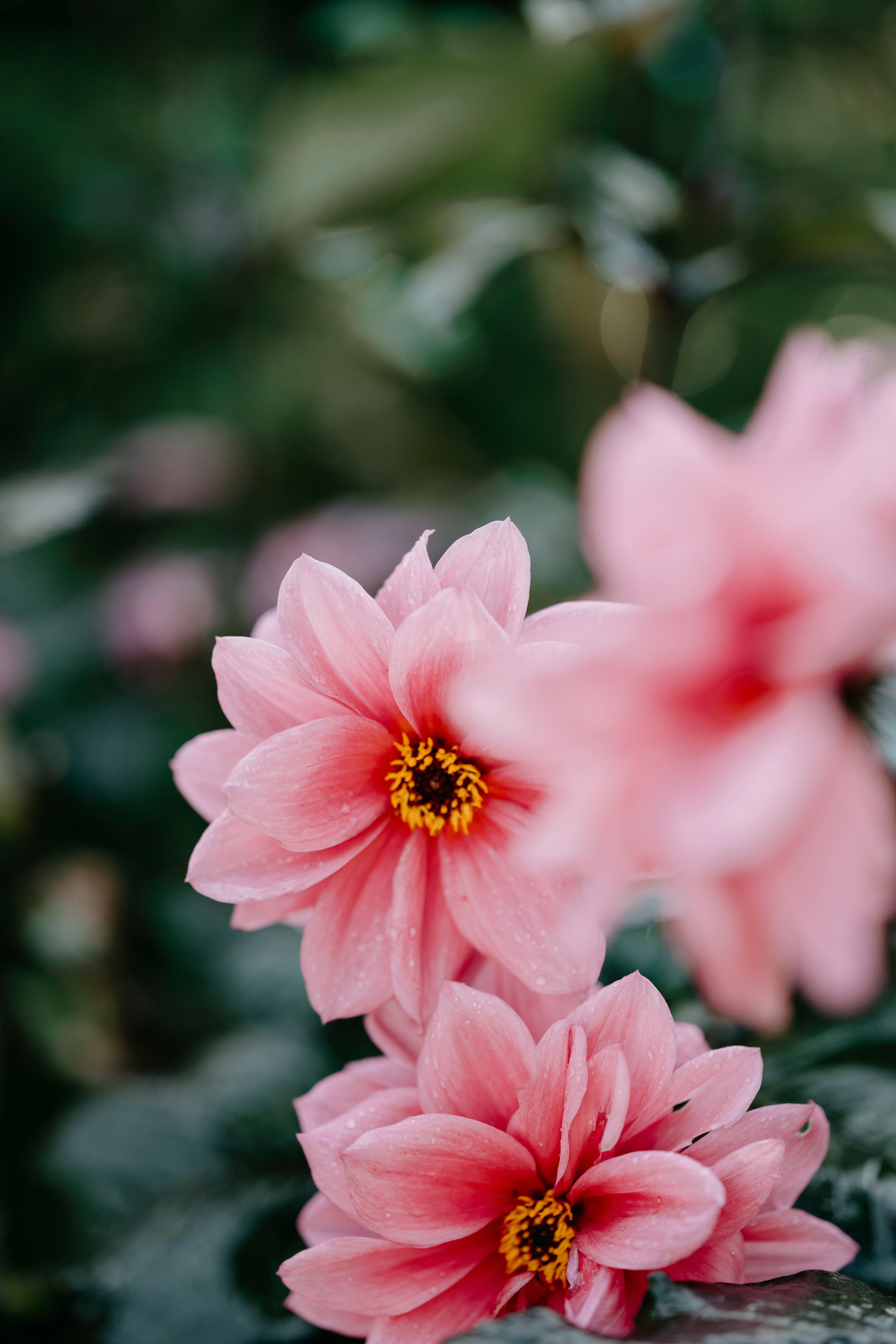 Photo by anniespratt