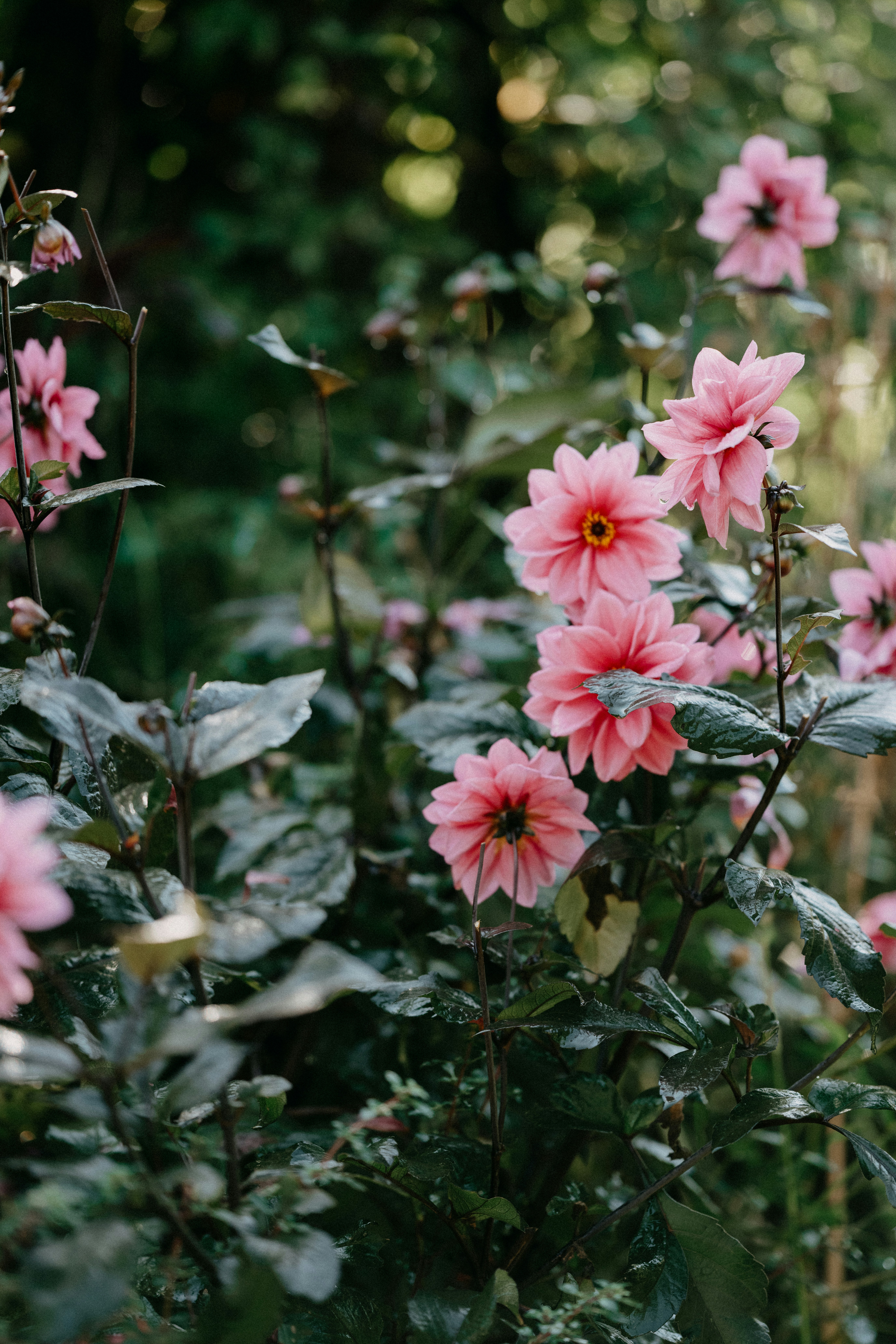 Photo by anniespratt