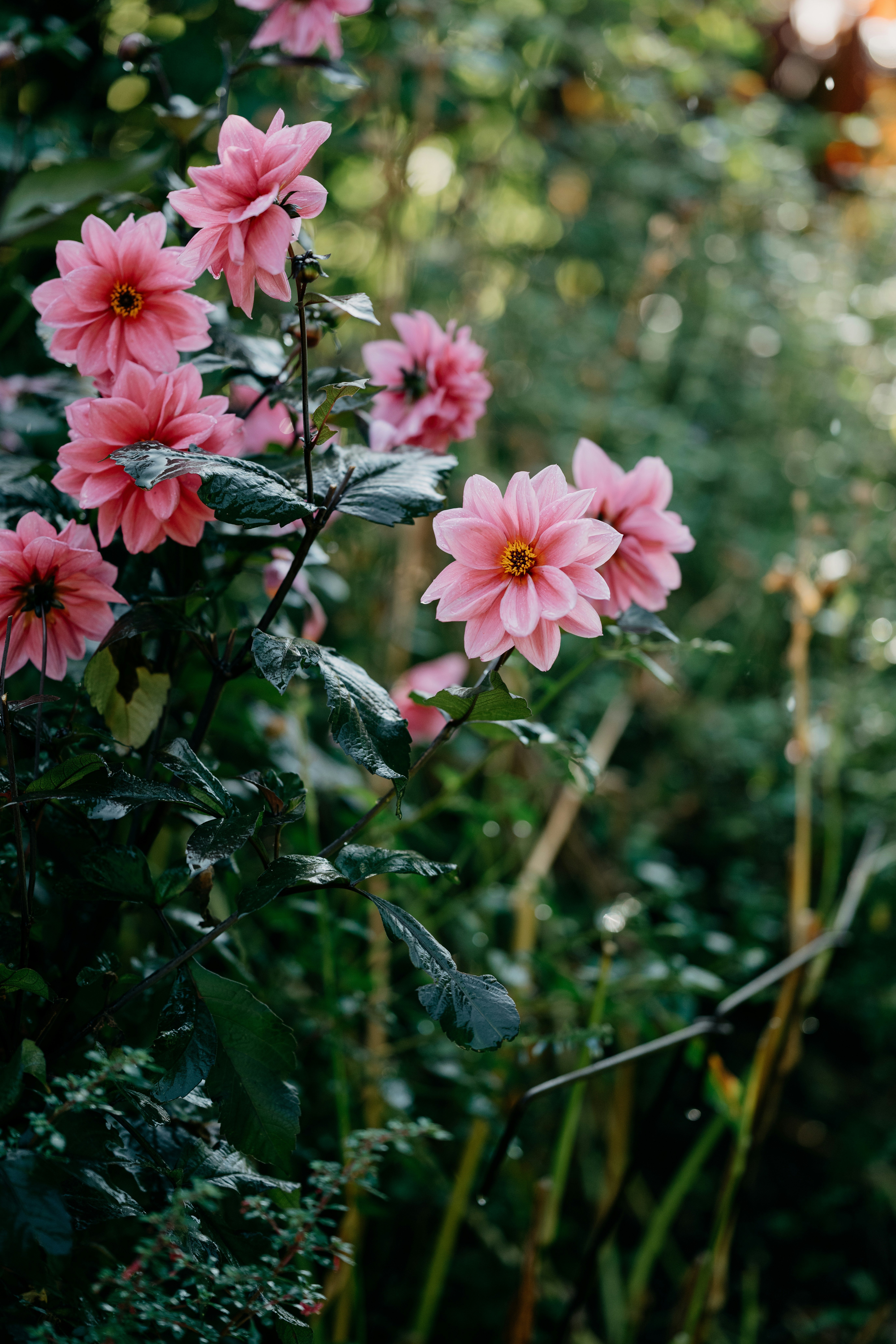 Photo by anniespratt