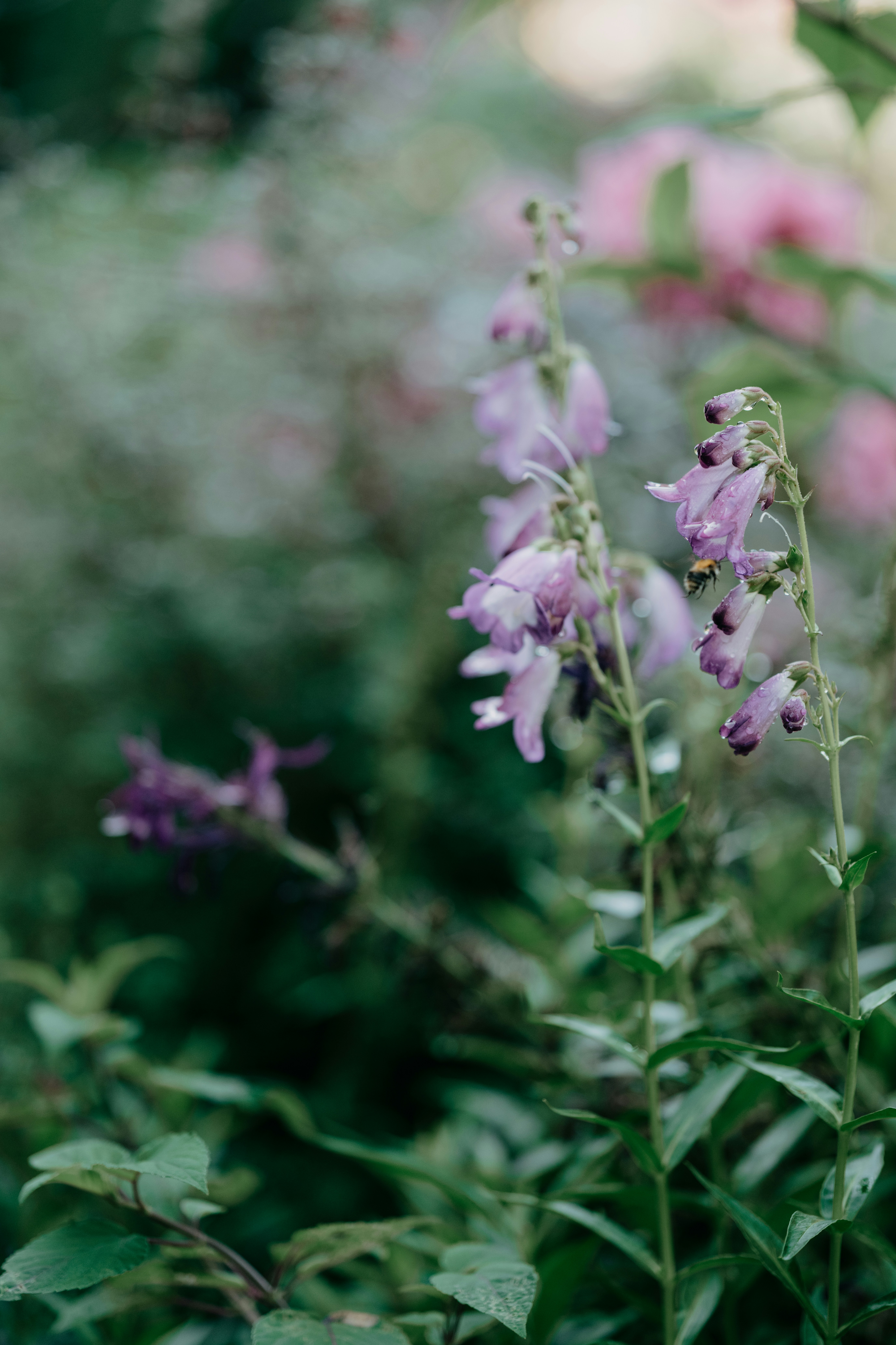 Photo by anniespratt