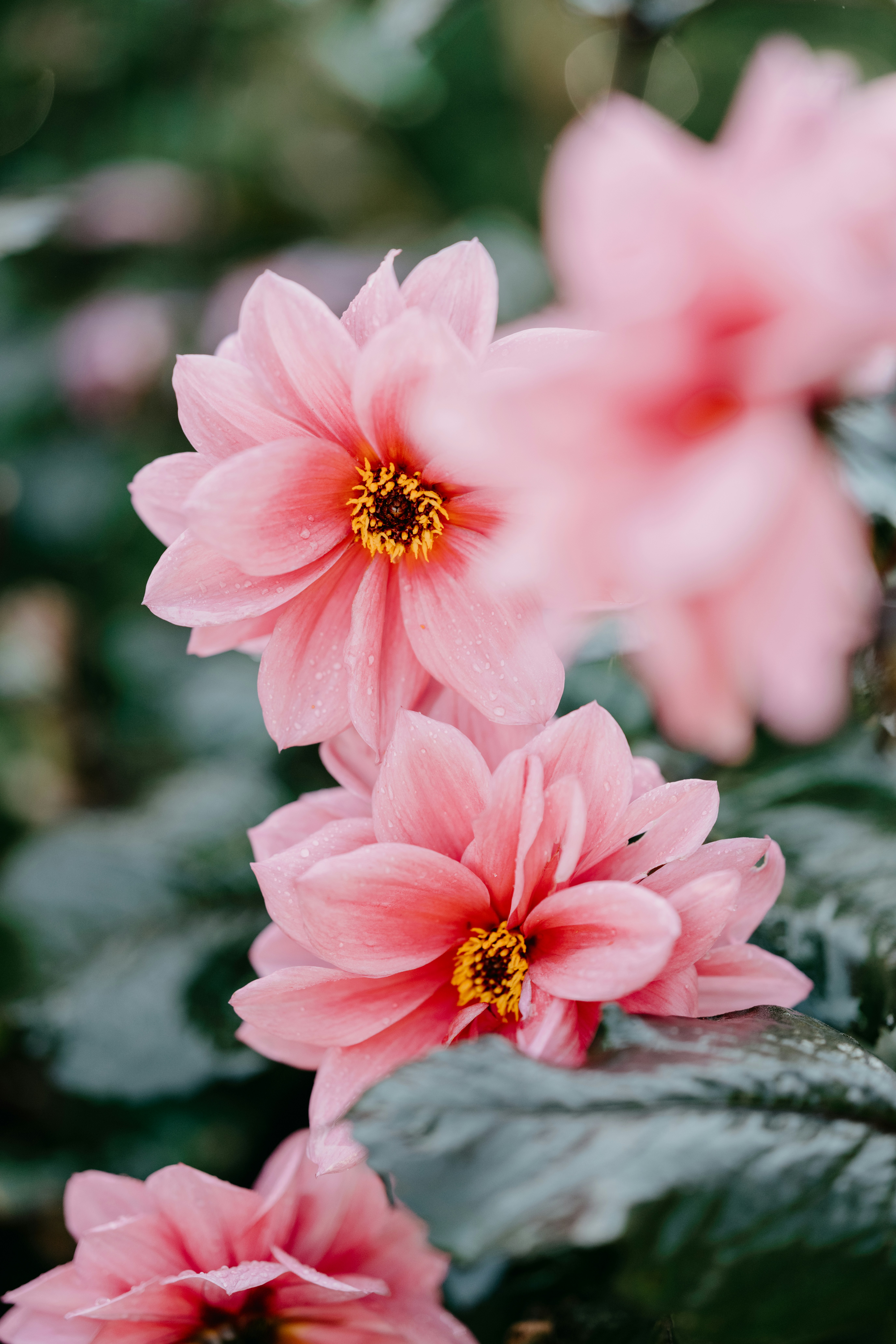 Photo by anniespratt