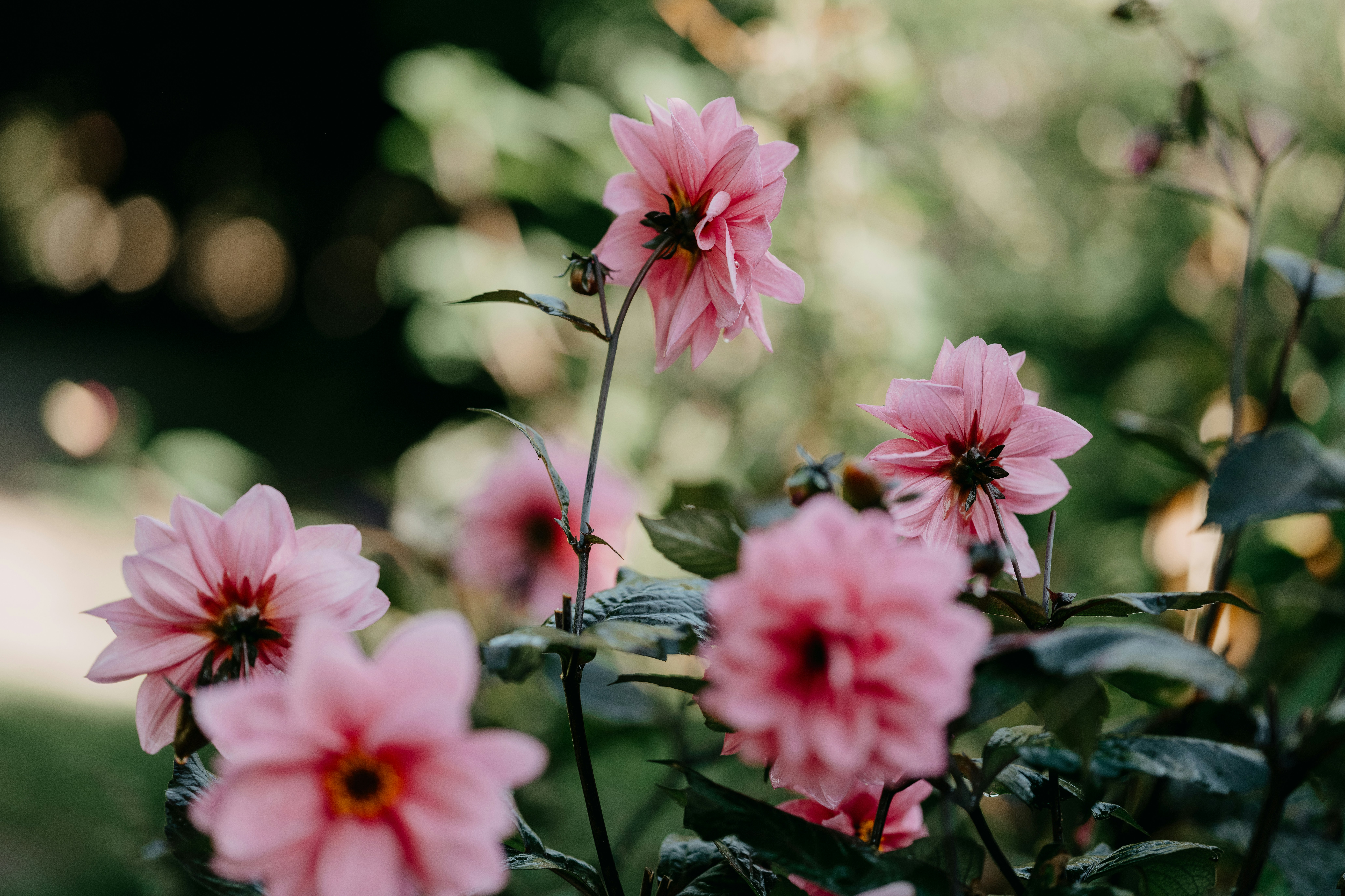 Photo by anniespratt