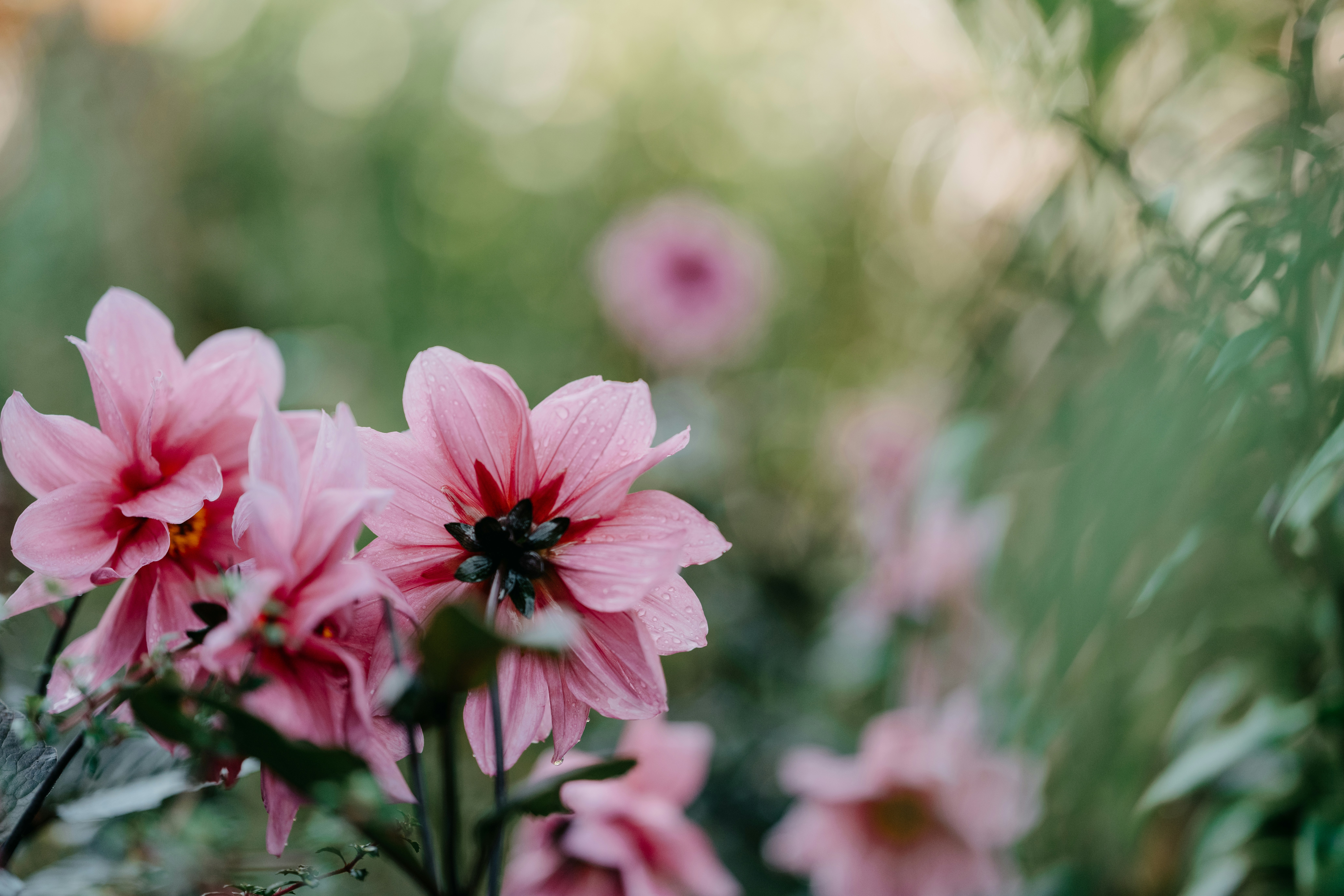 Photo by anniespratt