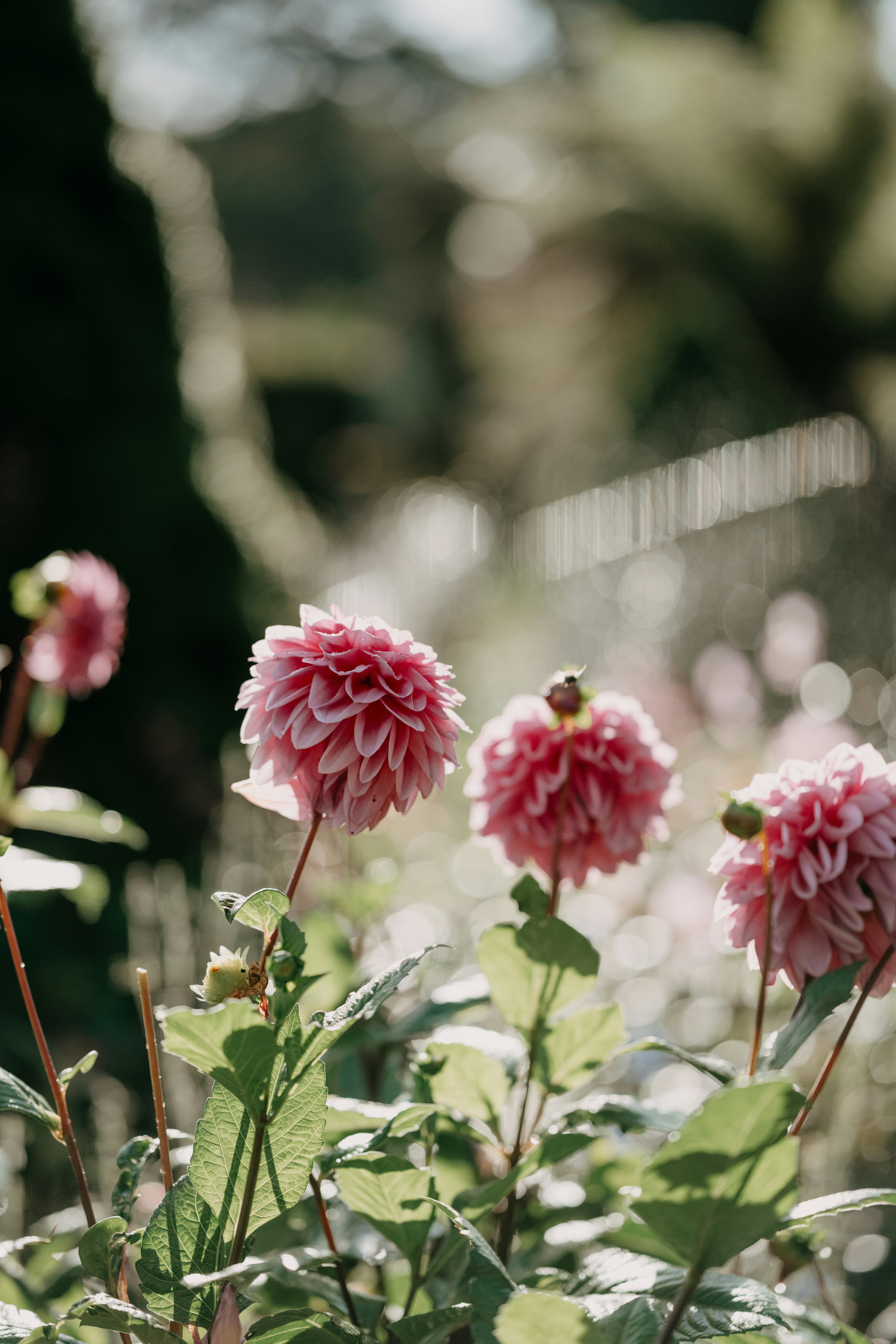 Photo by anniespratt