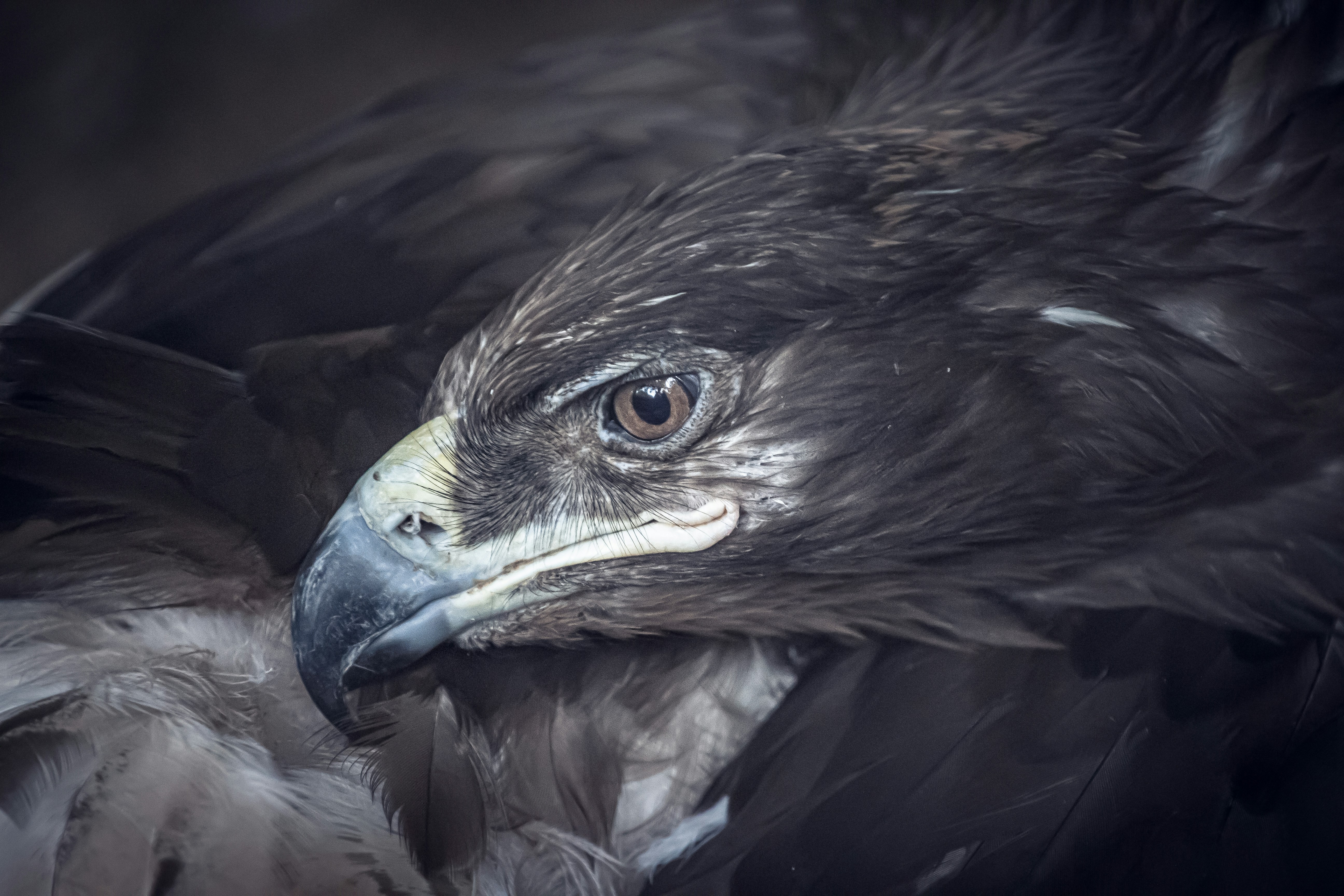 Photo by wildandbeyondbyvivek