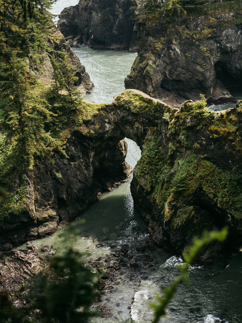 a river flowing under a bridge surrounded by trees