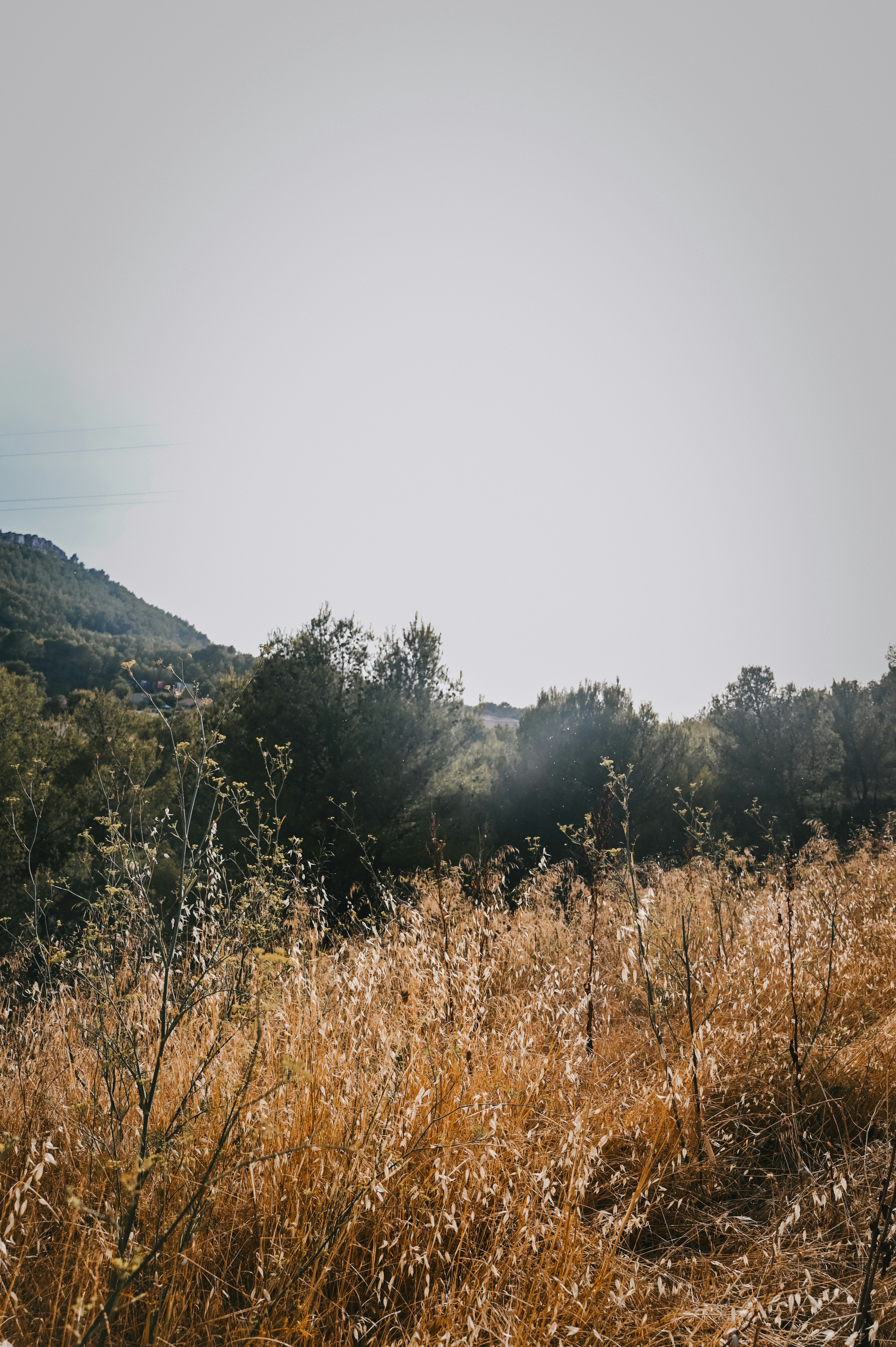 Photo by gaellemarcel