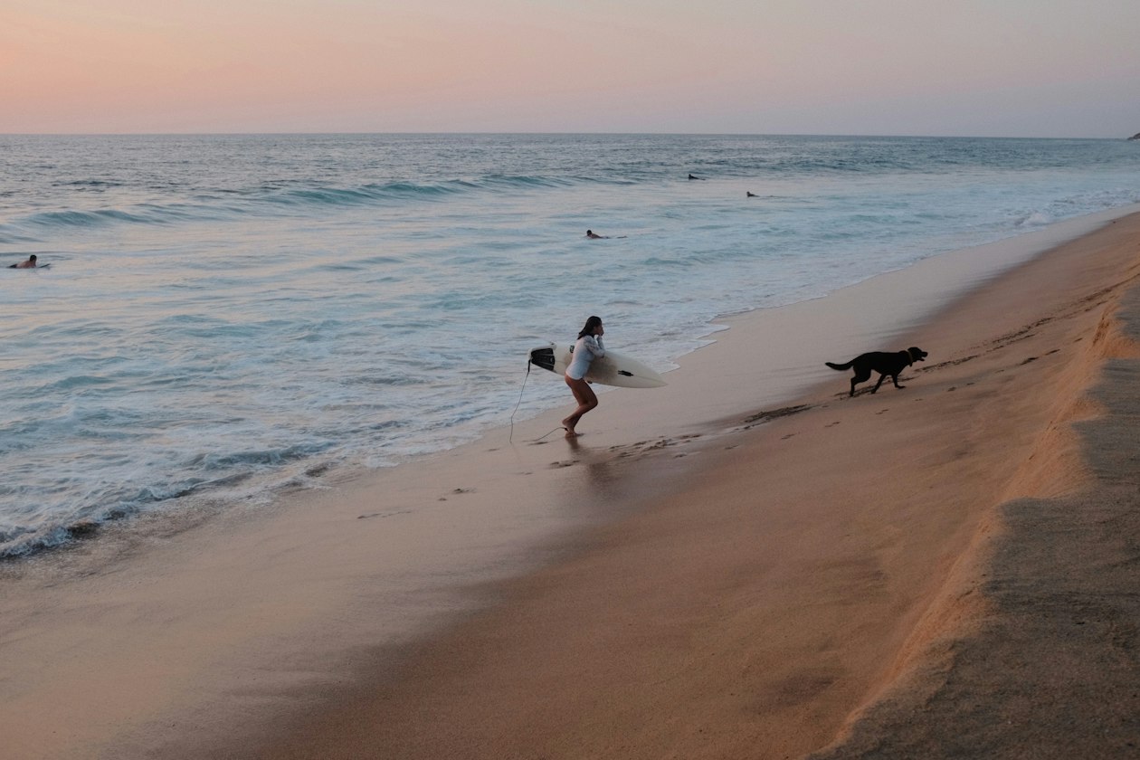 Surfeuse entrant dans la mer avec sa planche au coucher du soleil, un chien courant sur le sable