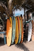 Colorful surfboards lined up on the sandy shore