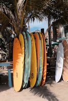 Flat lay of redflip caps and gorros arranged neatly on surfboards leaning against a palm tree.