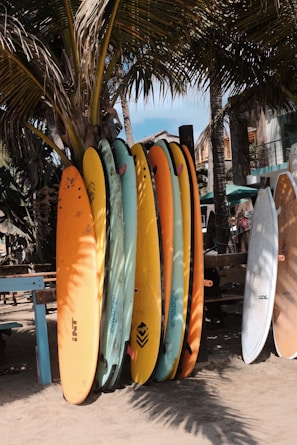 A row of paddleboards lined up on the beach with palm trees swaying gently behind them