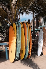 A row of colorful surfboards is propped up against a palm tree on a sandy beach. The surfboards are in shades of orange, yellow, teal, and white, and are leaning casually next to each other. The background features tropical foliage and some beachside structures, suggesting a laid-back, coastal setting.