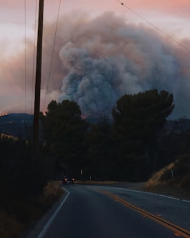 A winding road leads through a hilly area with power lines on the left side. Dense smoke billows into the sky from a large fire in the background, partially obscured by tall trees. The setting conveys a sense of urgency and concern due to the visible flames and heavy smoke.