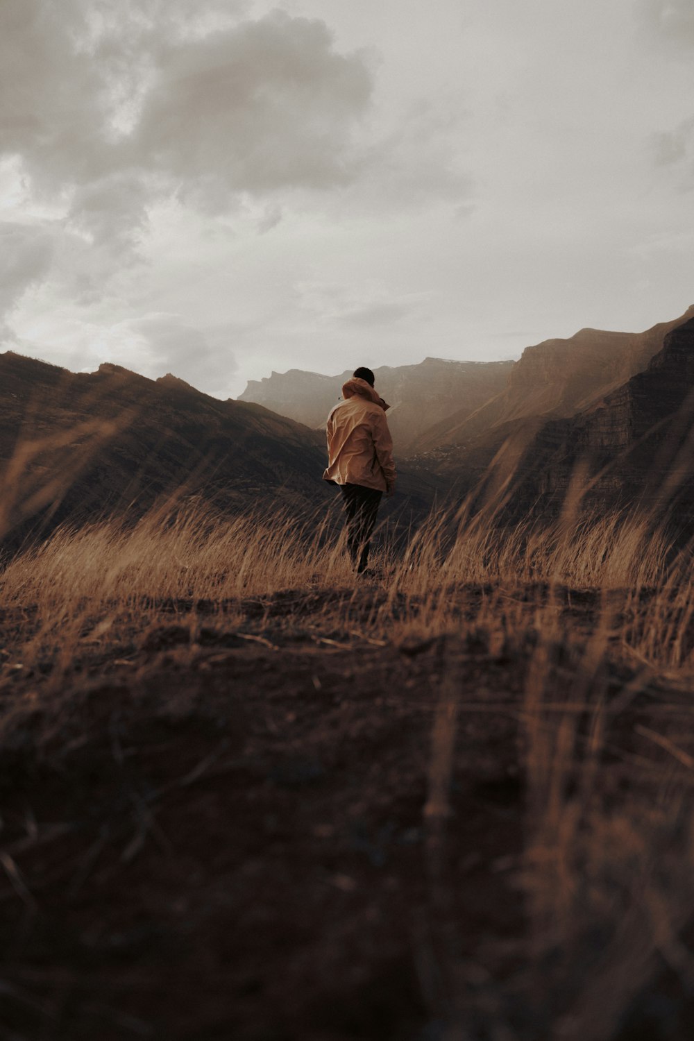 a person standing in a field with mountains in the background