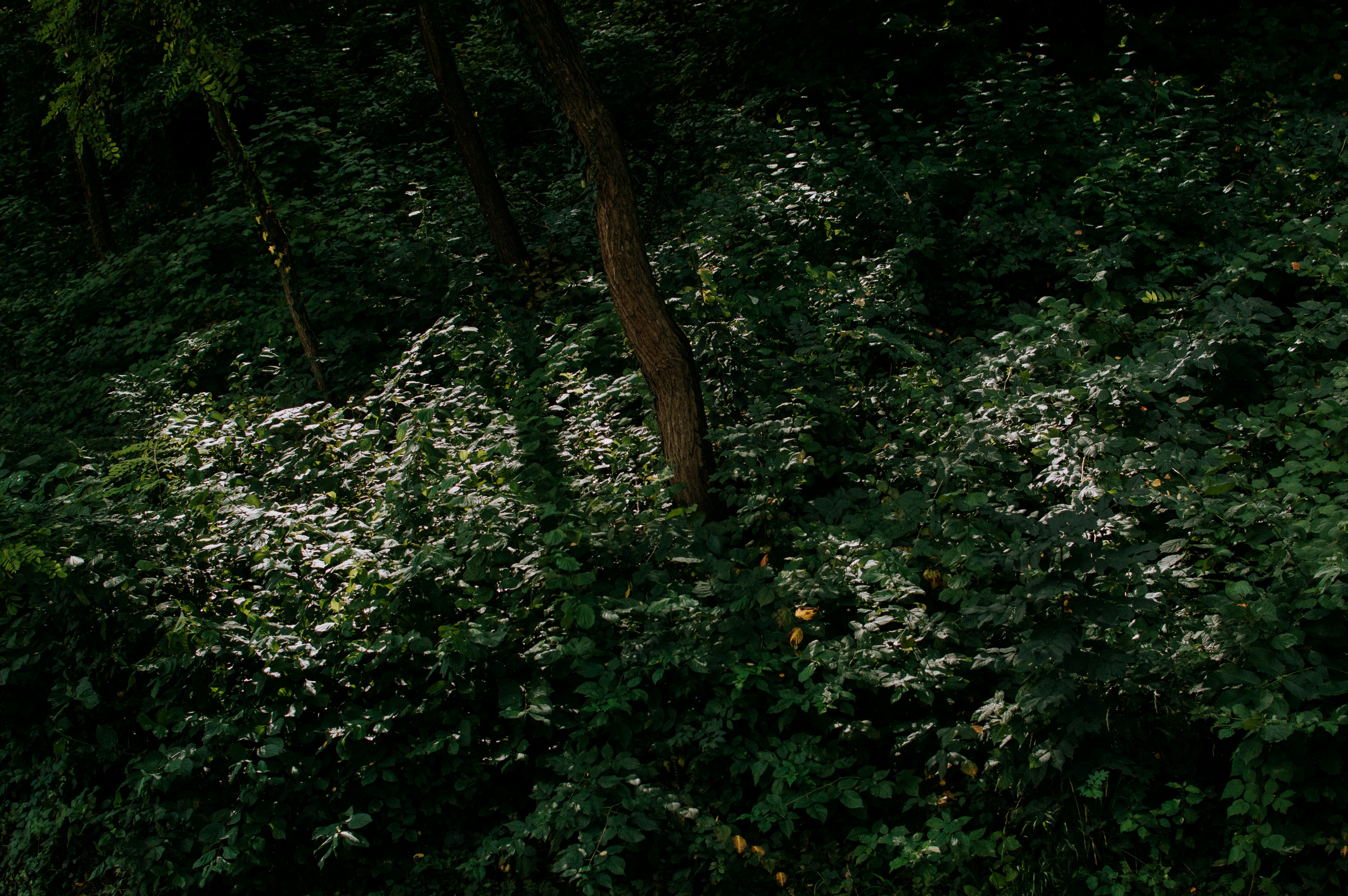 Photo by eduardgross