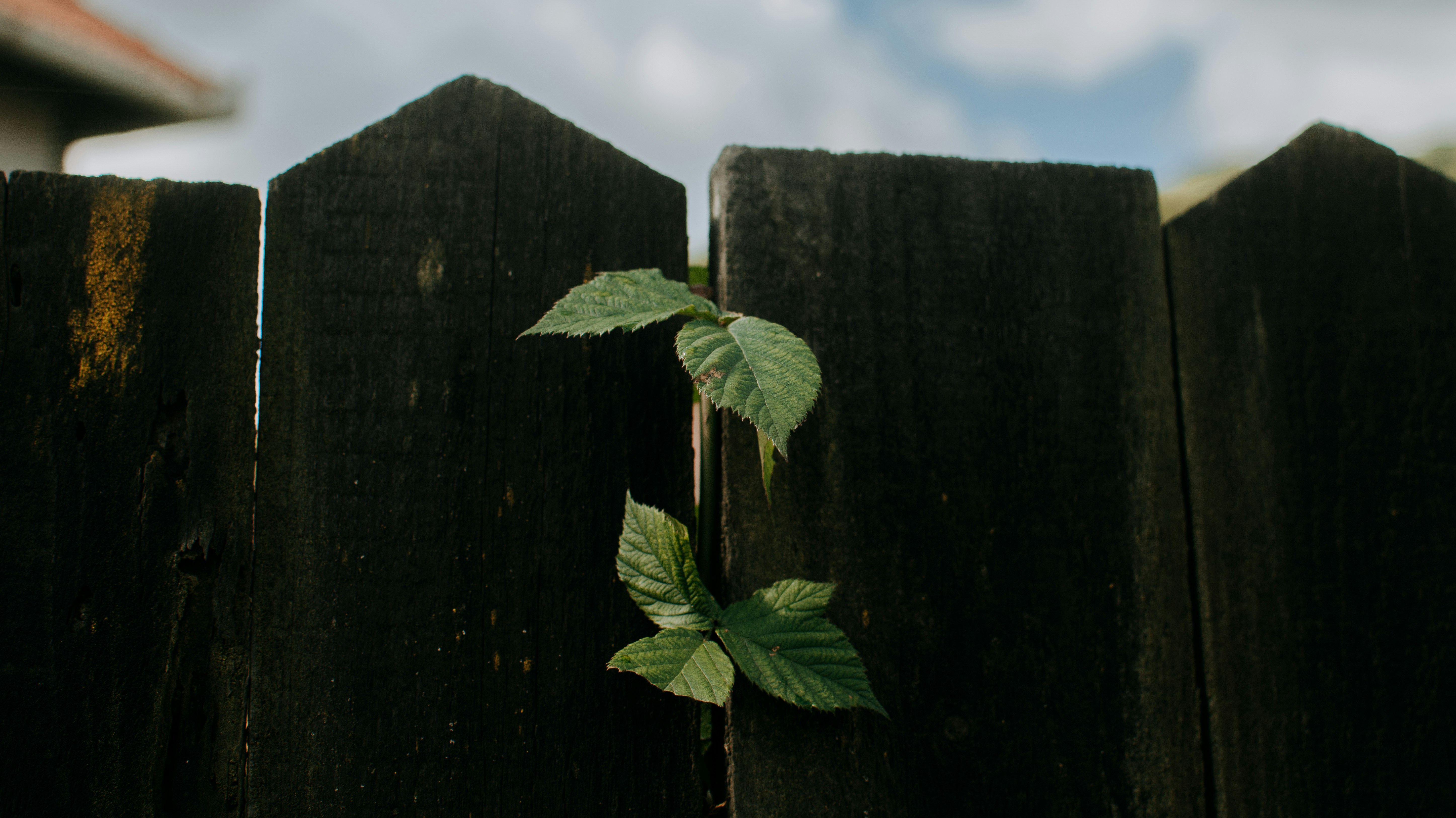 Photo by eduardgross