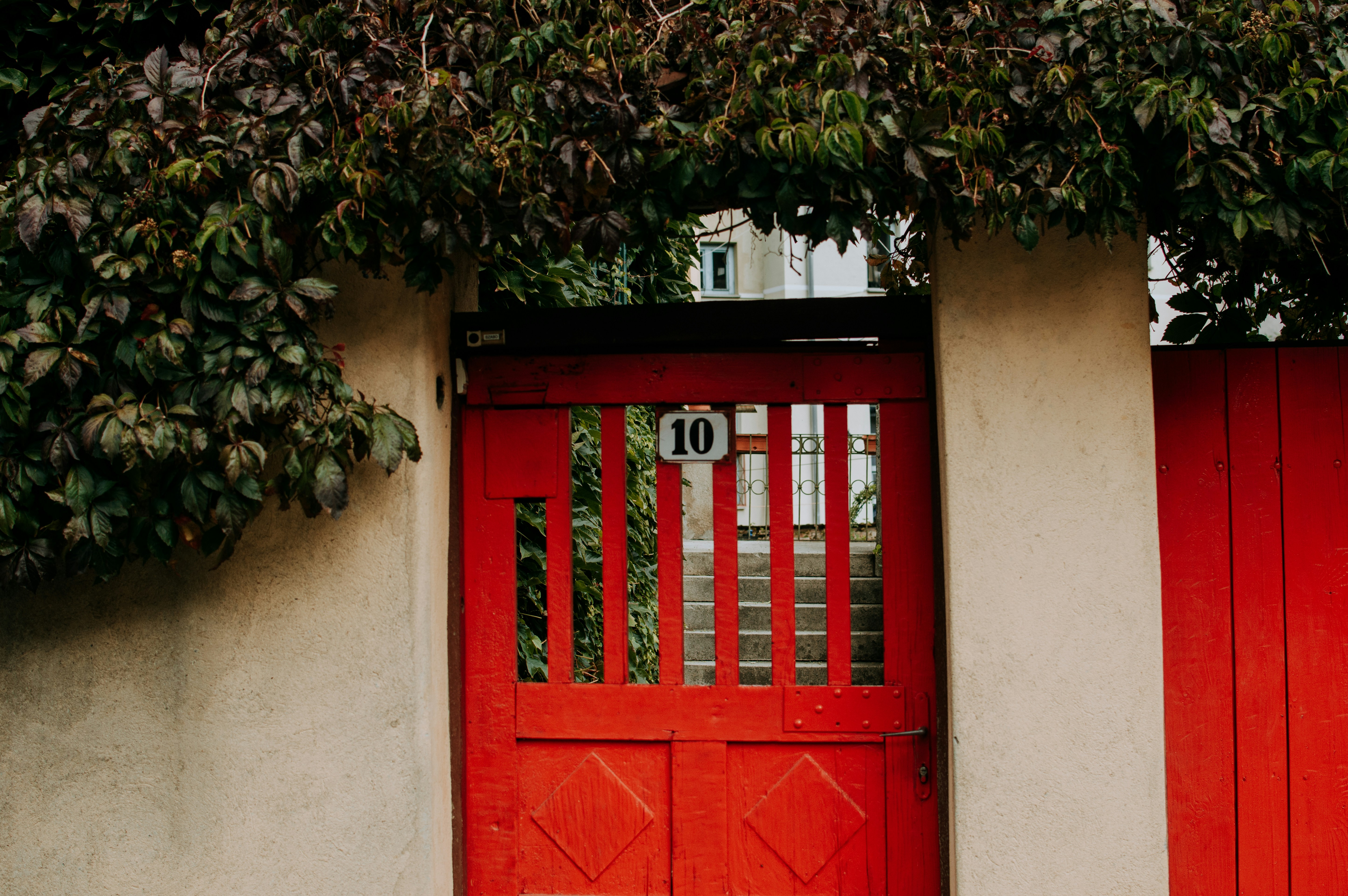 Photo by eduardgross