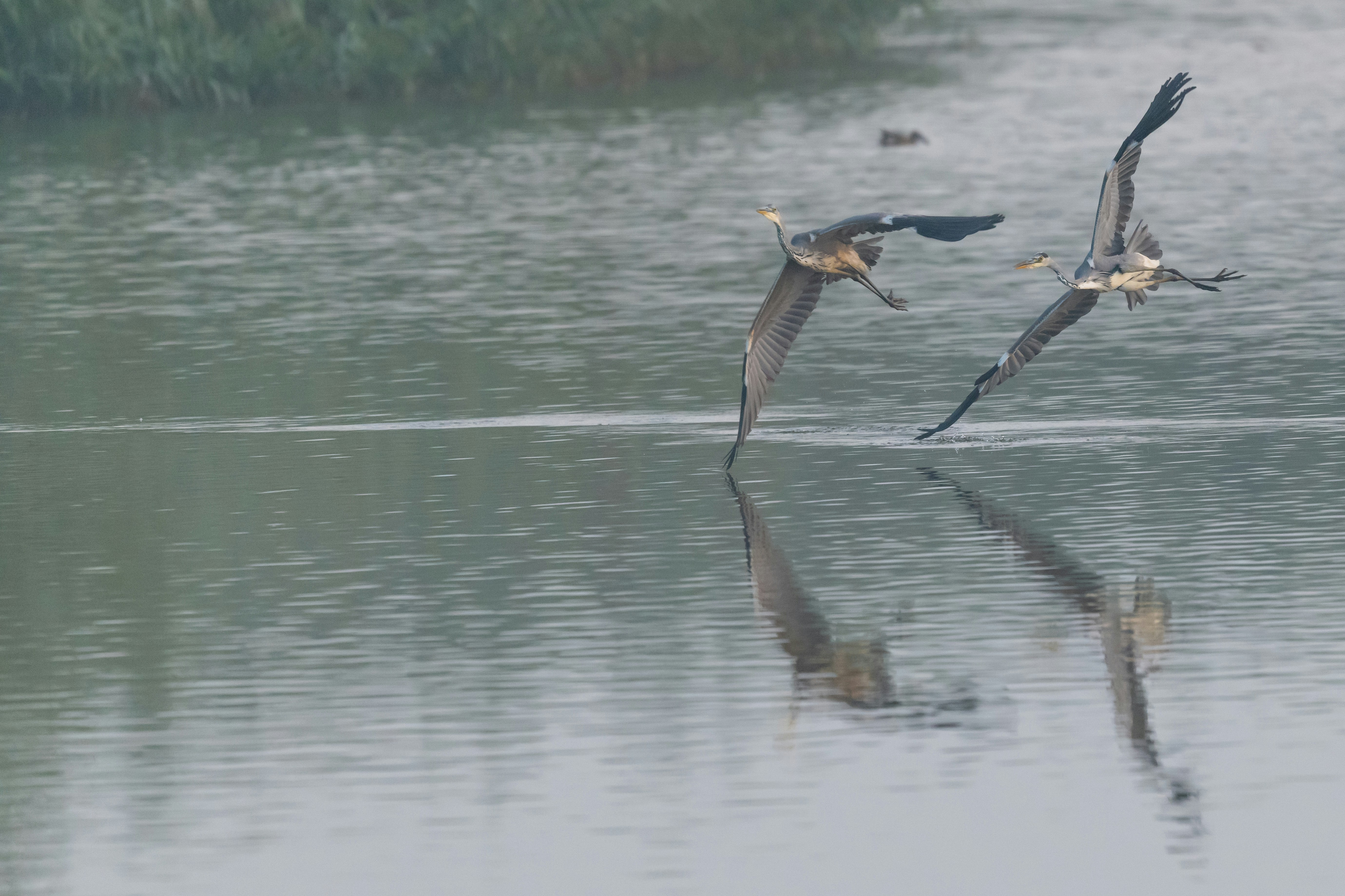 Photo by vincentvanzalinge