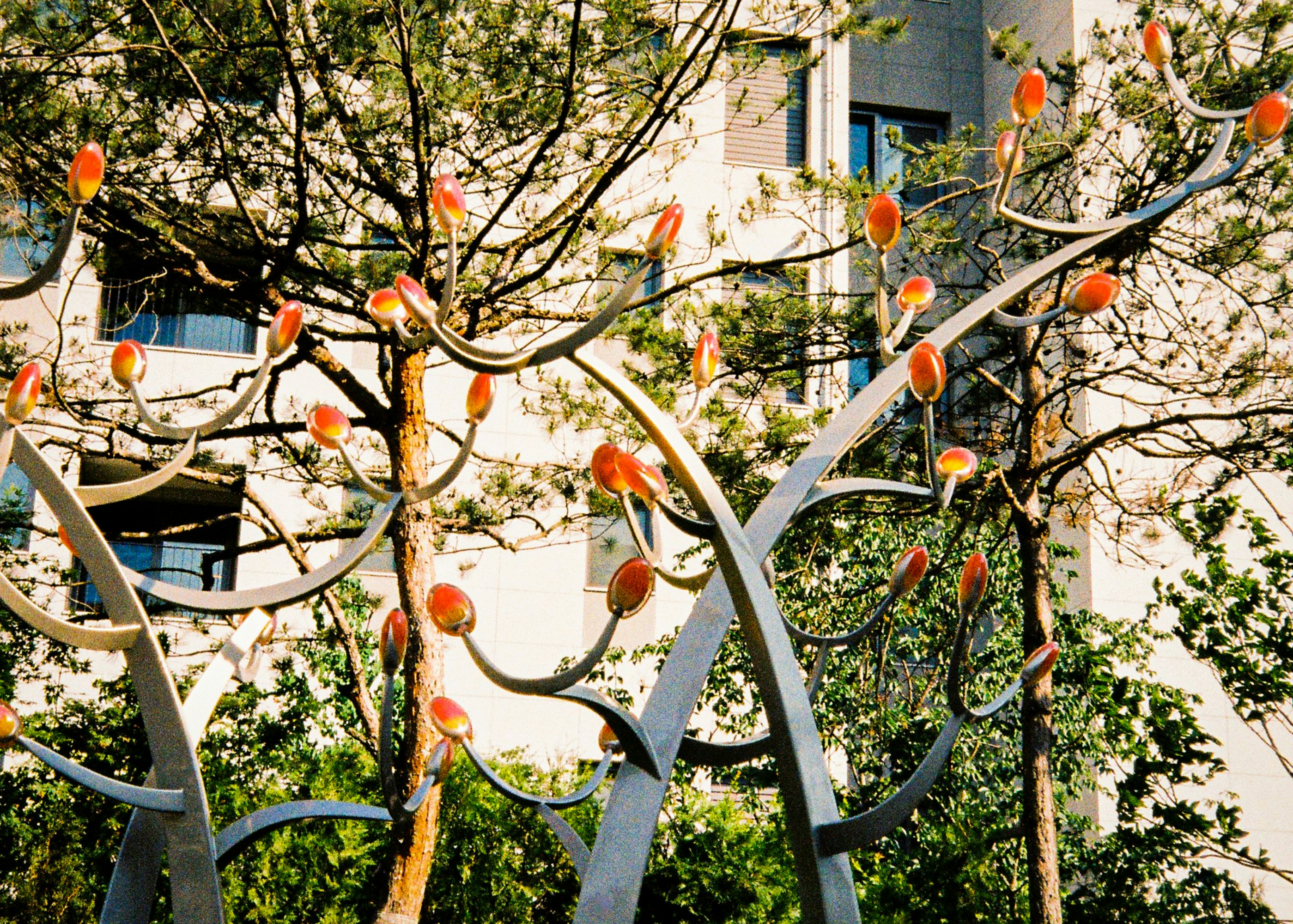 a bunch of birds are sitting on the branches of a tree