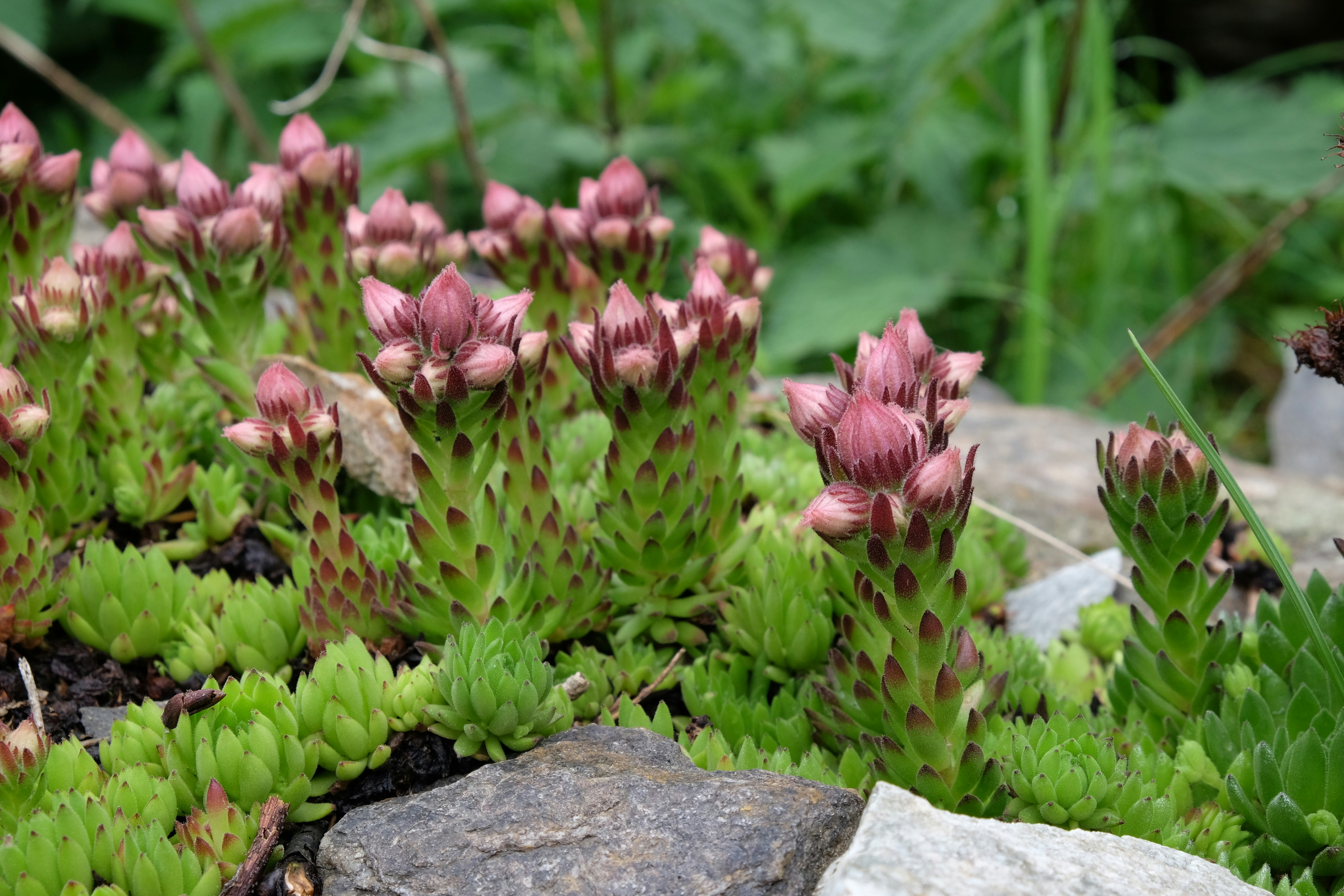 Photo by invenezuela