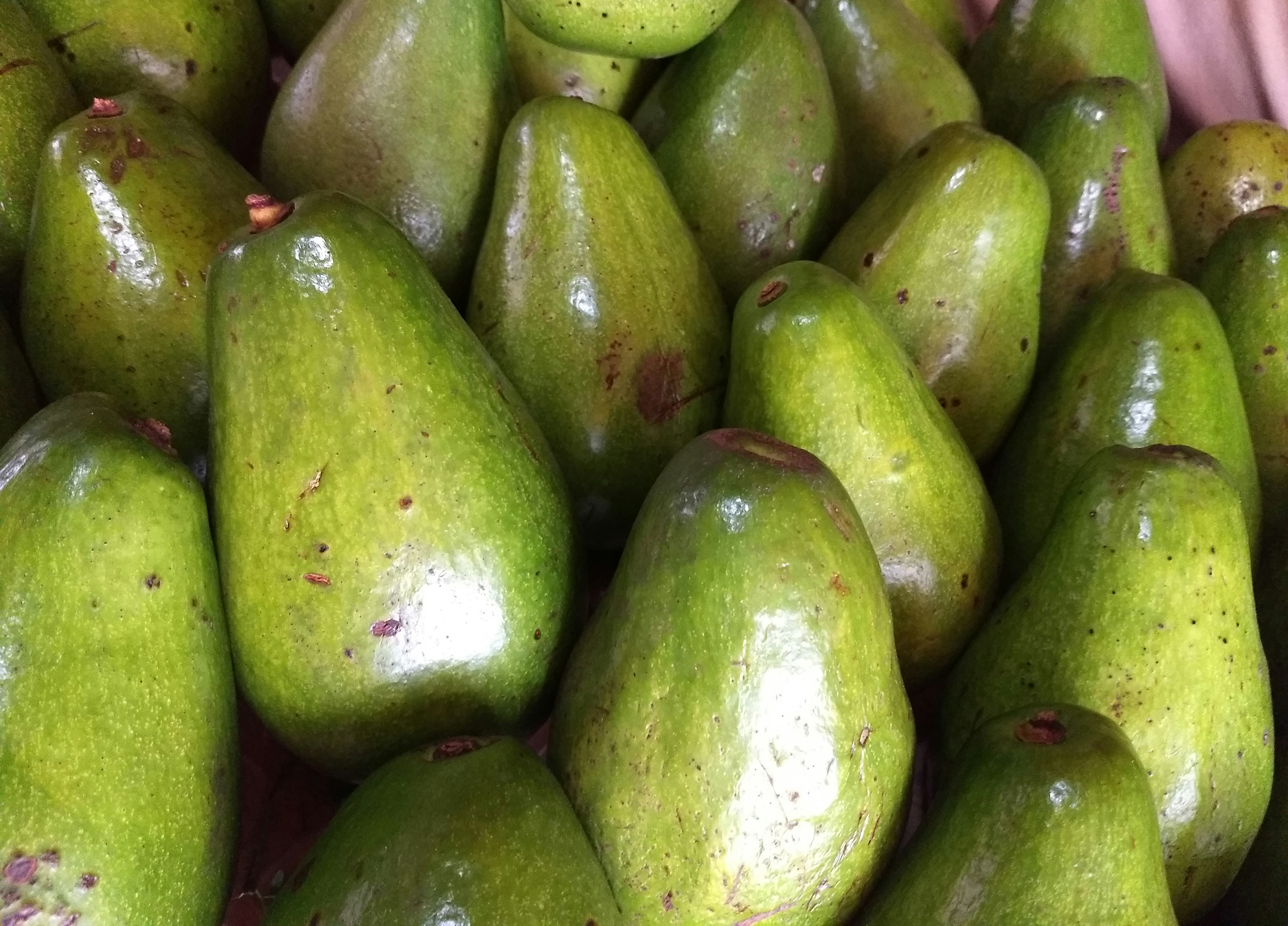 El Aguacate
