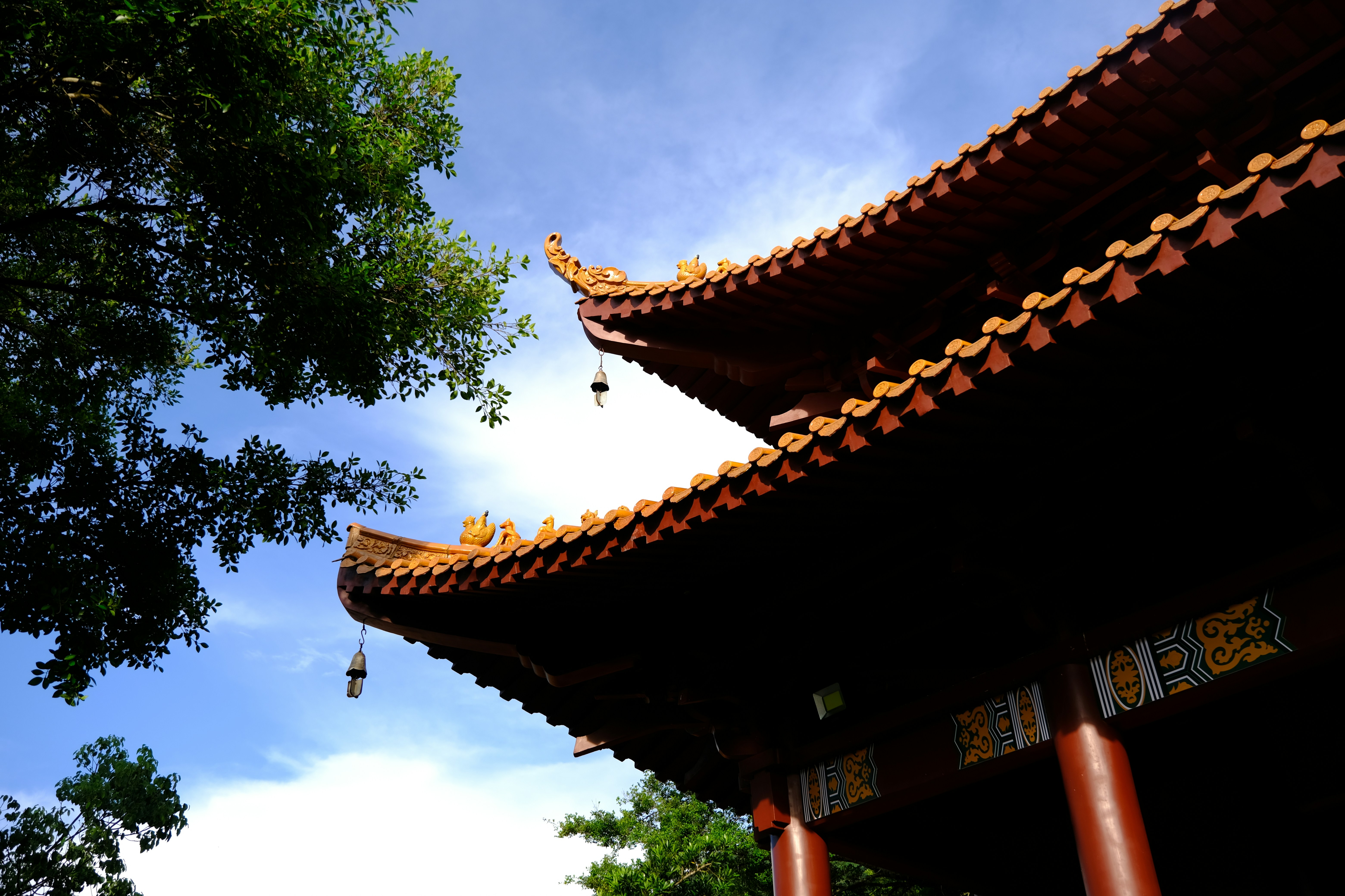 中国广东省深圳市罗湖区弘法寺